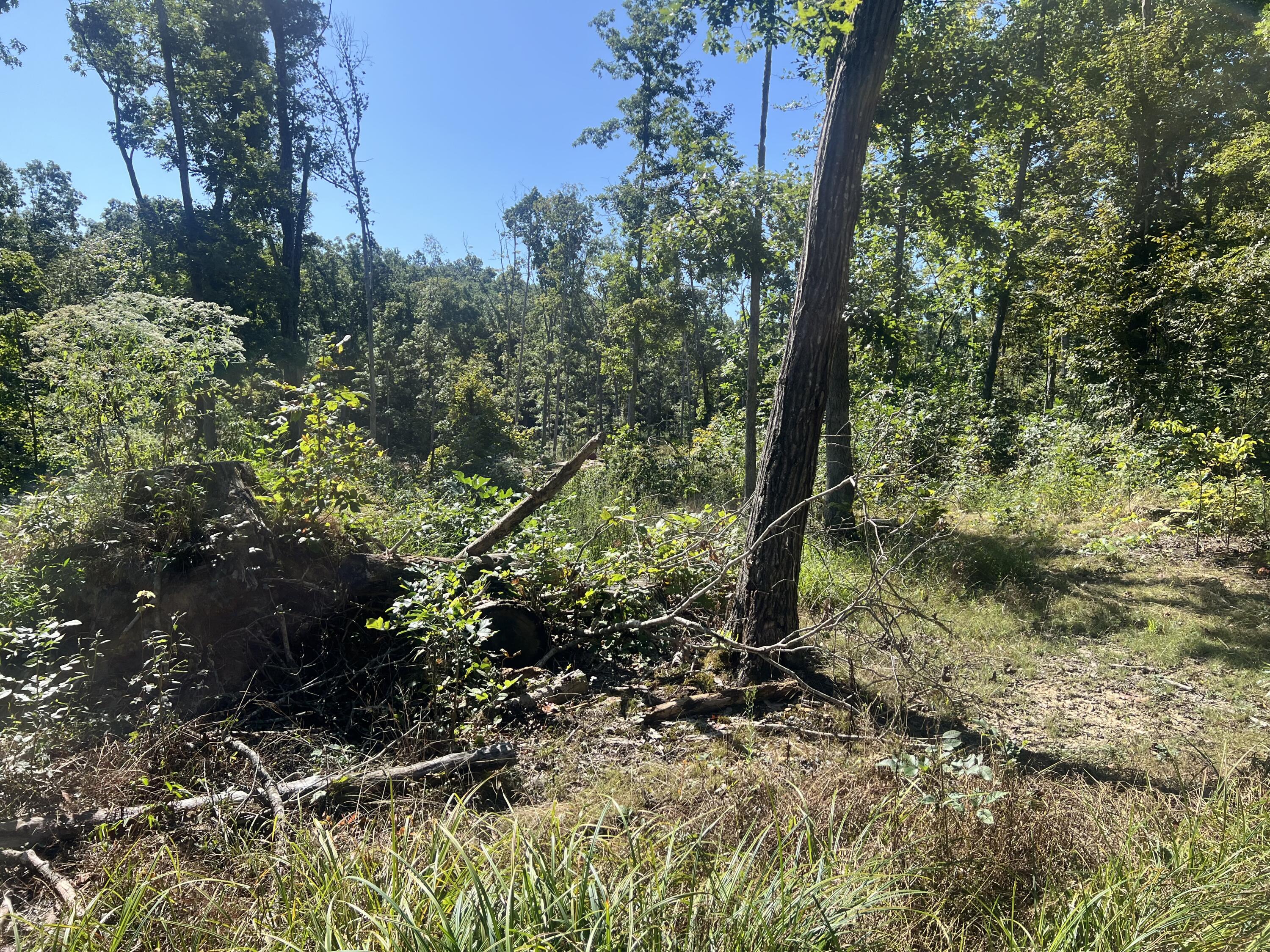 60 Louie Lane Property Photo 22