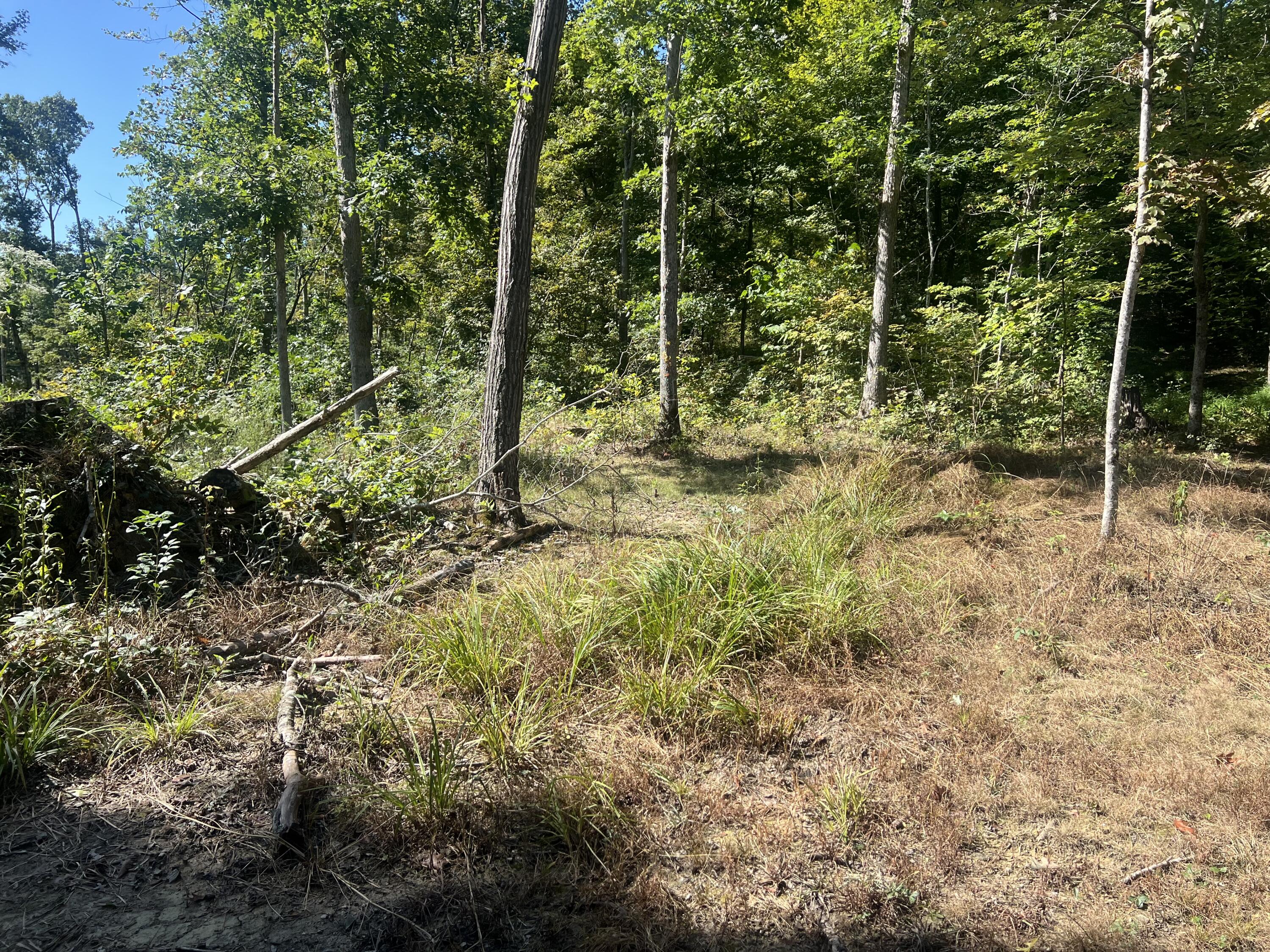 60 Louie Lane Property Photo 23