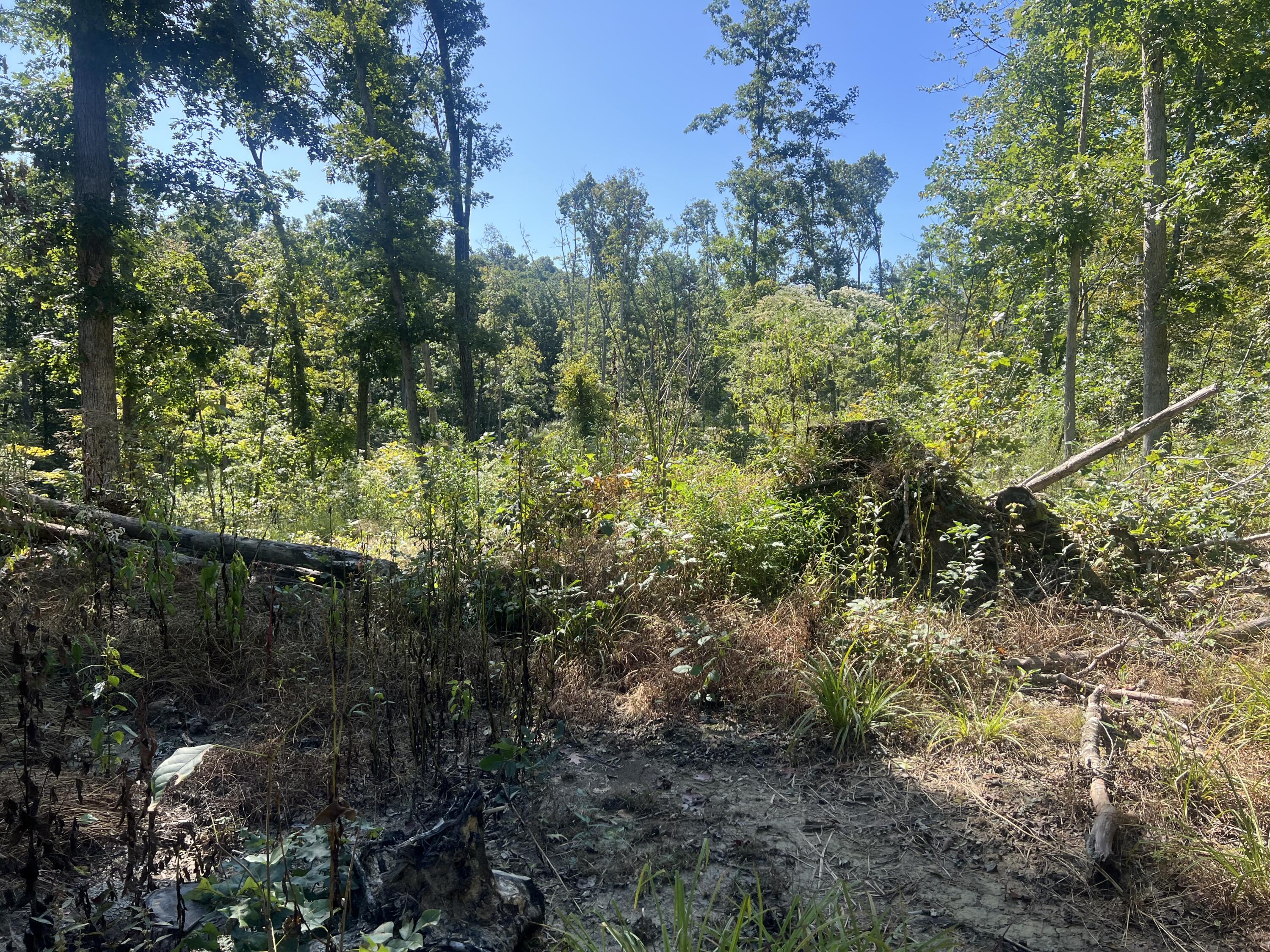 60 Louie Lane Property Photo 24