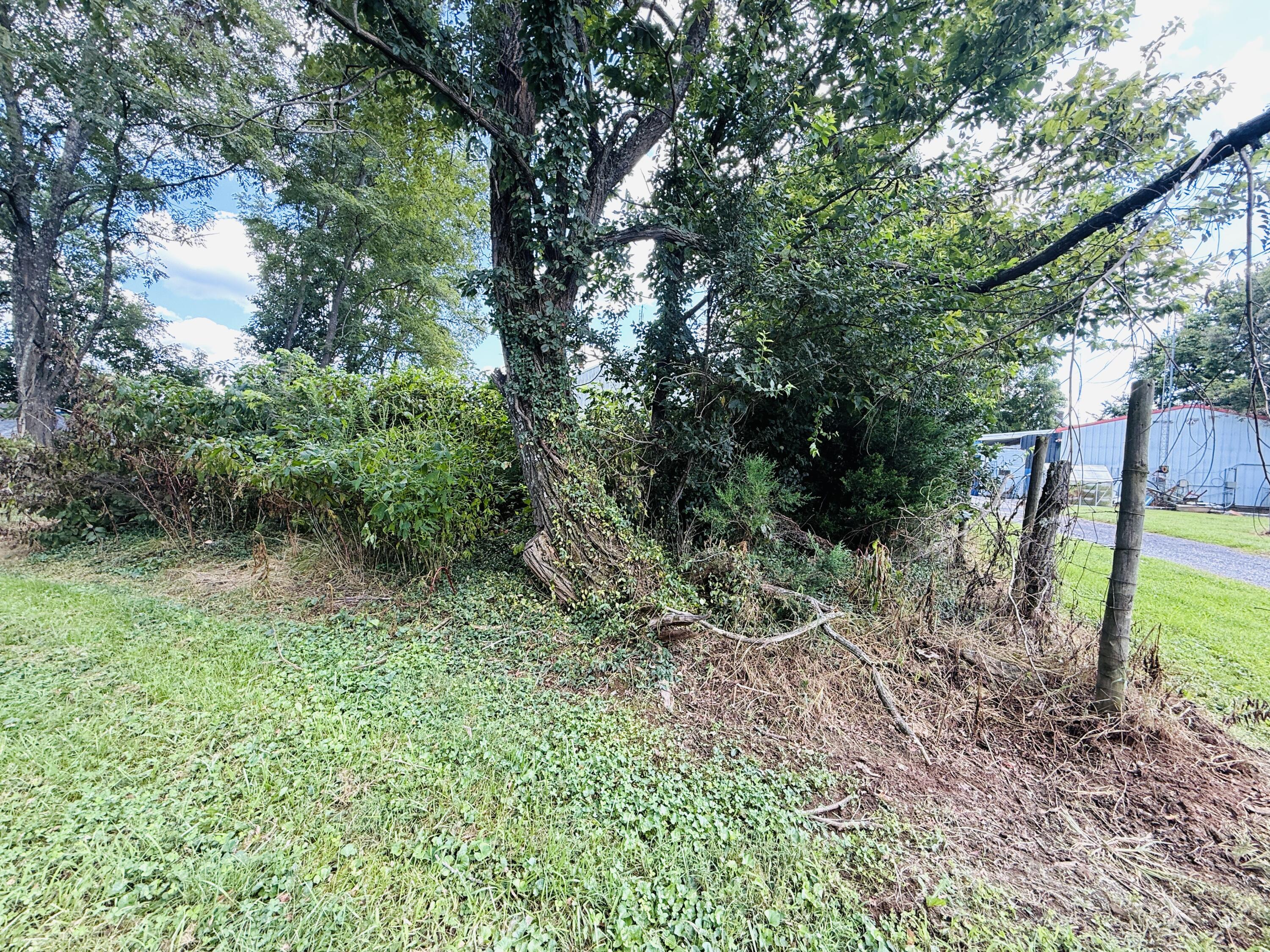 540 Bondville Road Property Photo 8