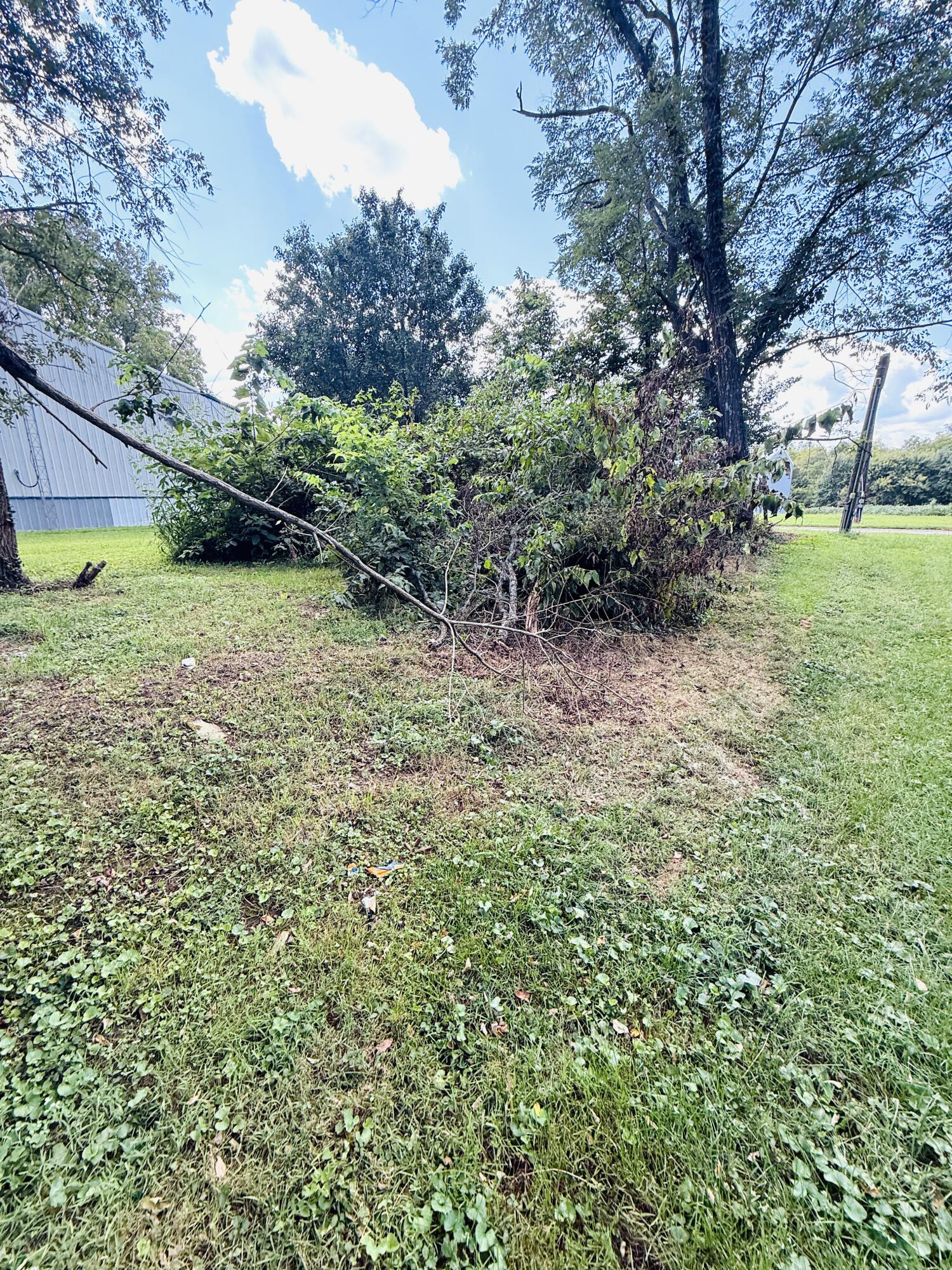 540 Bondville Road Property Photo 19