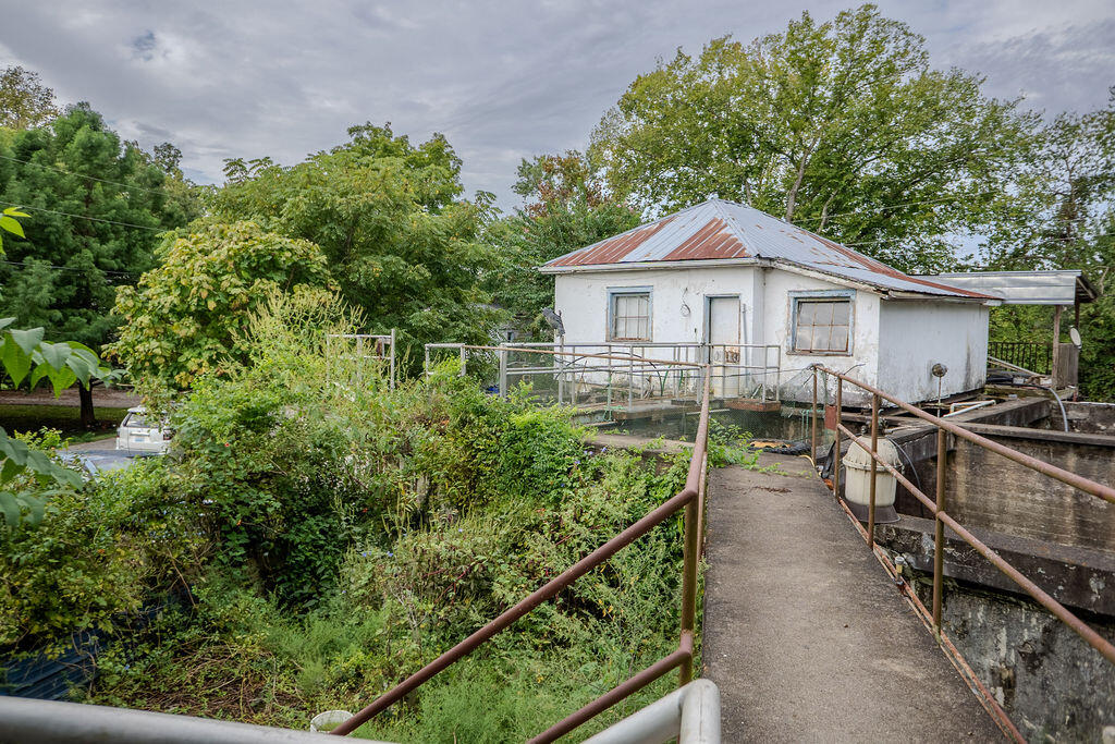 429 Edgewater Drive Property Photo 16