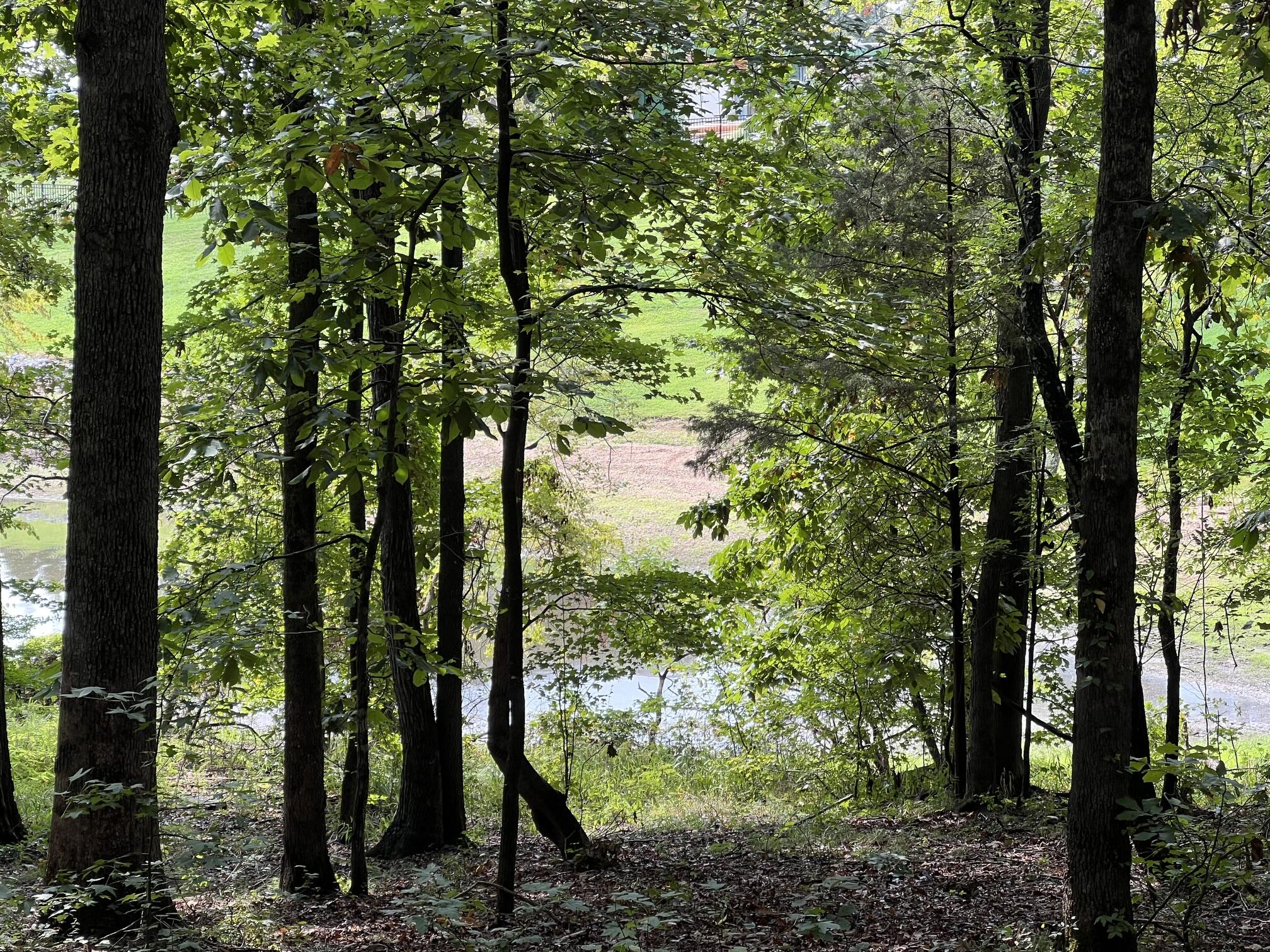 Lot 13 Veal Lane Property Photo 1