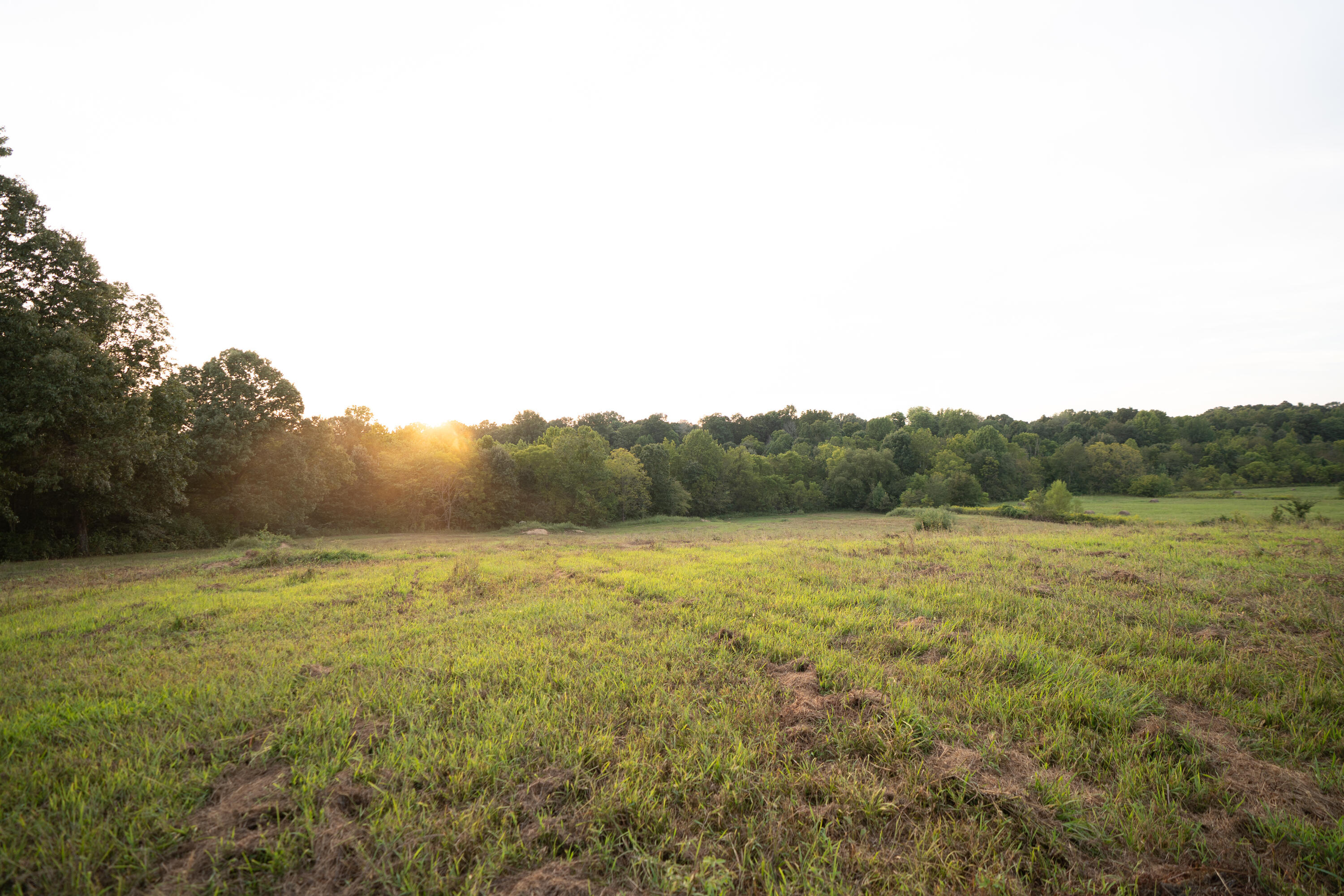 7303 Ky-339 Property Photo 35