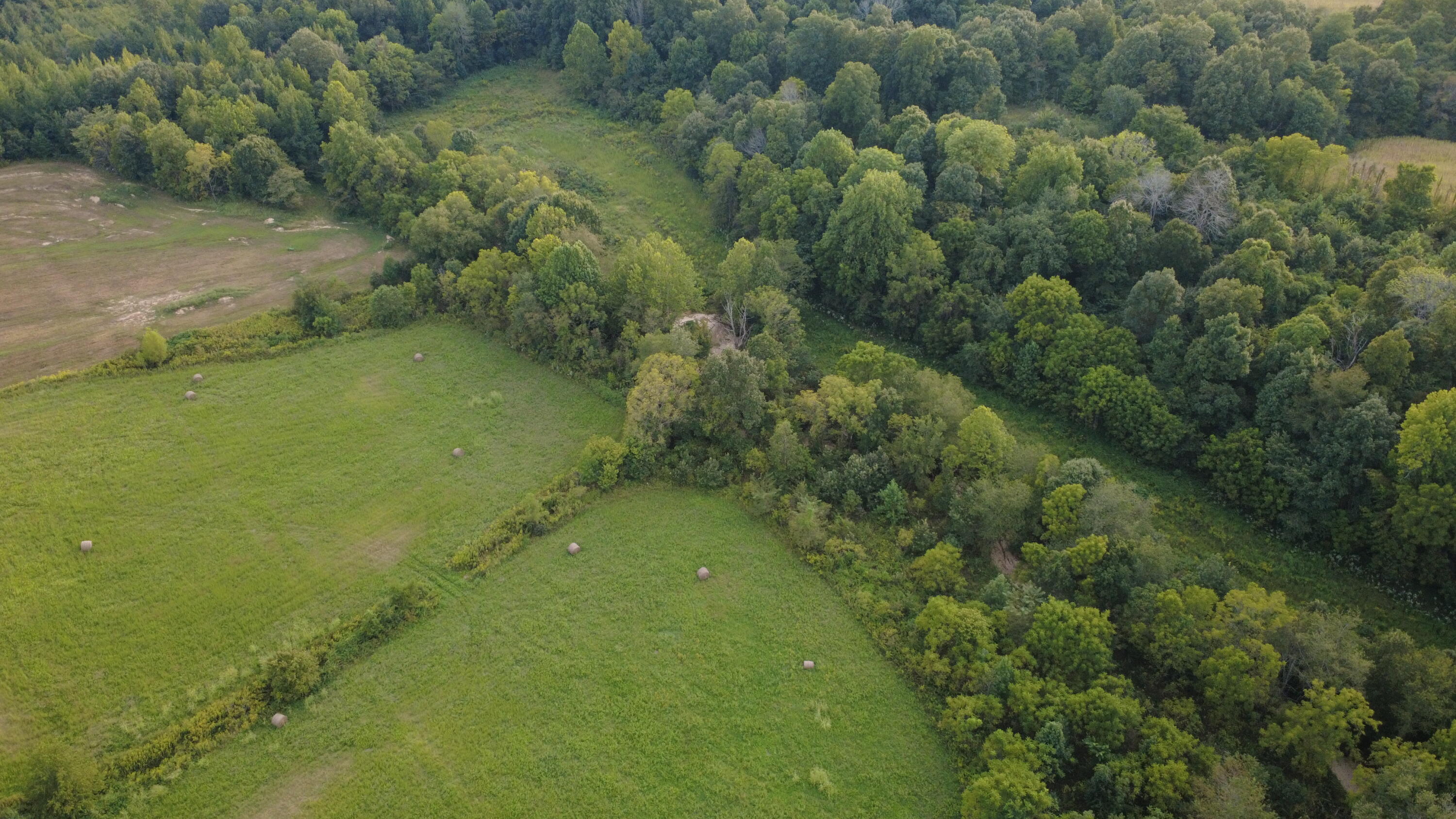 7303 Ky-339 Property Photo 37