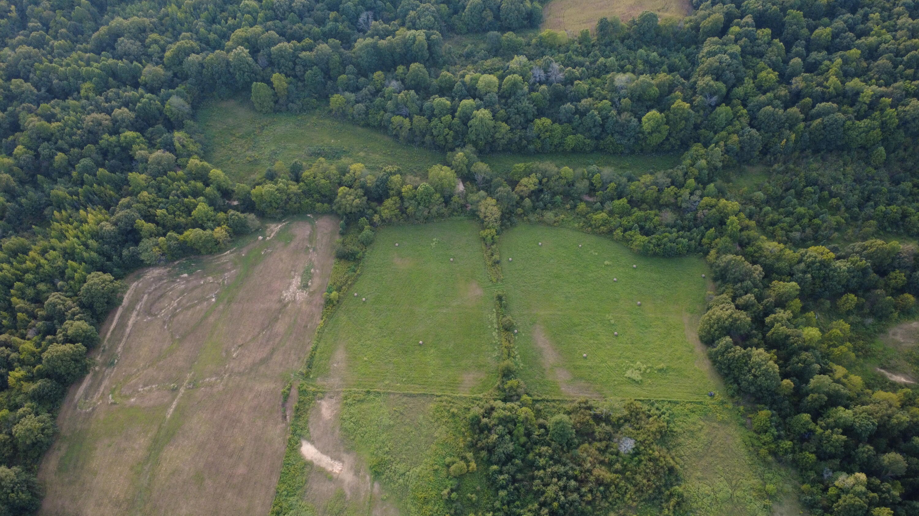 7303 Ky-339 Property Photo 41