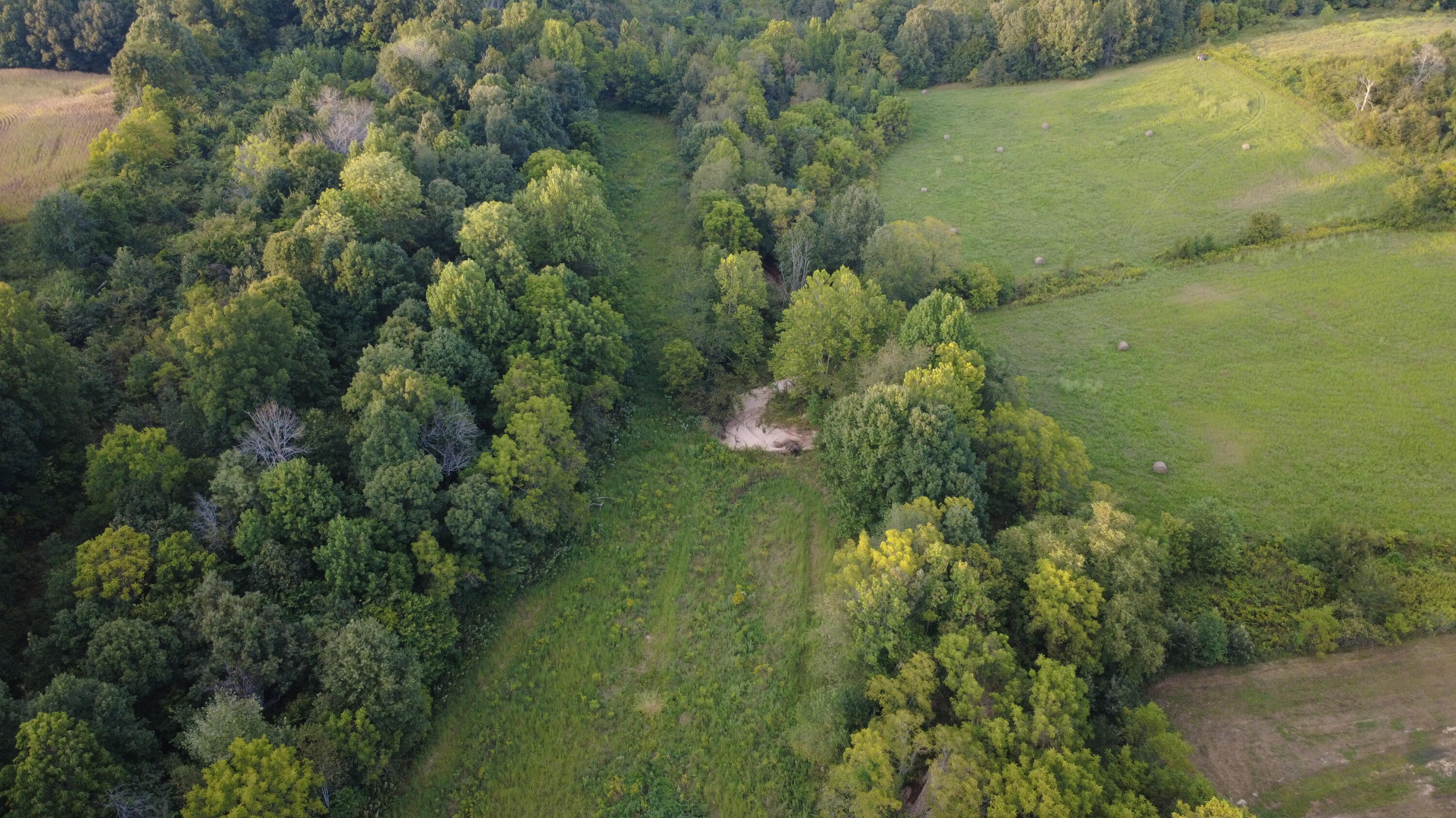 7303 Ky-339 Property Photo 49