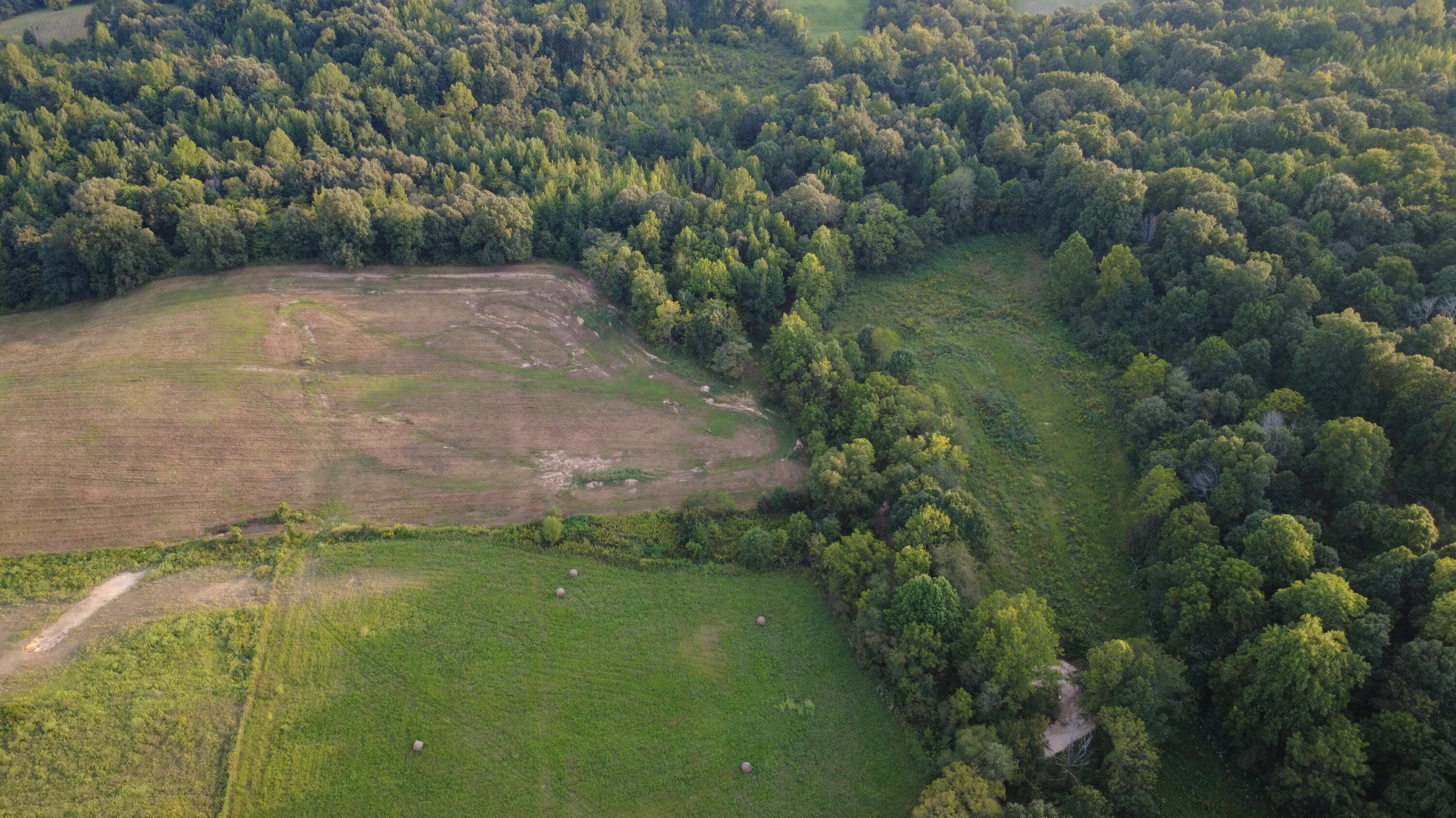 7303 Ky-339 Property Photo 54