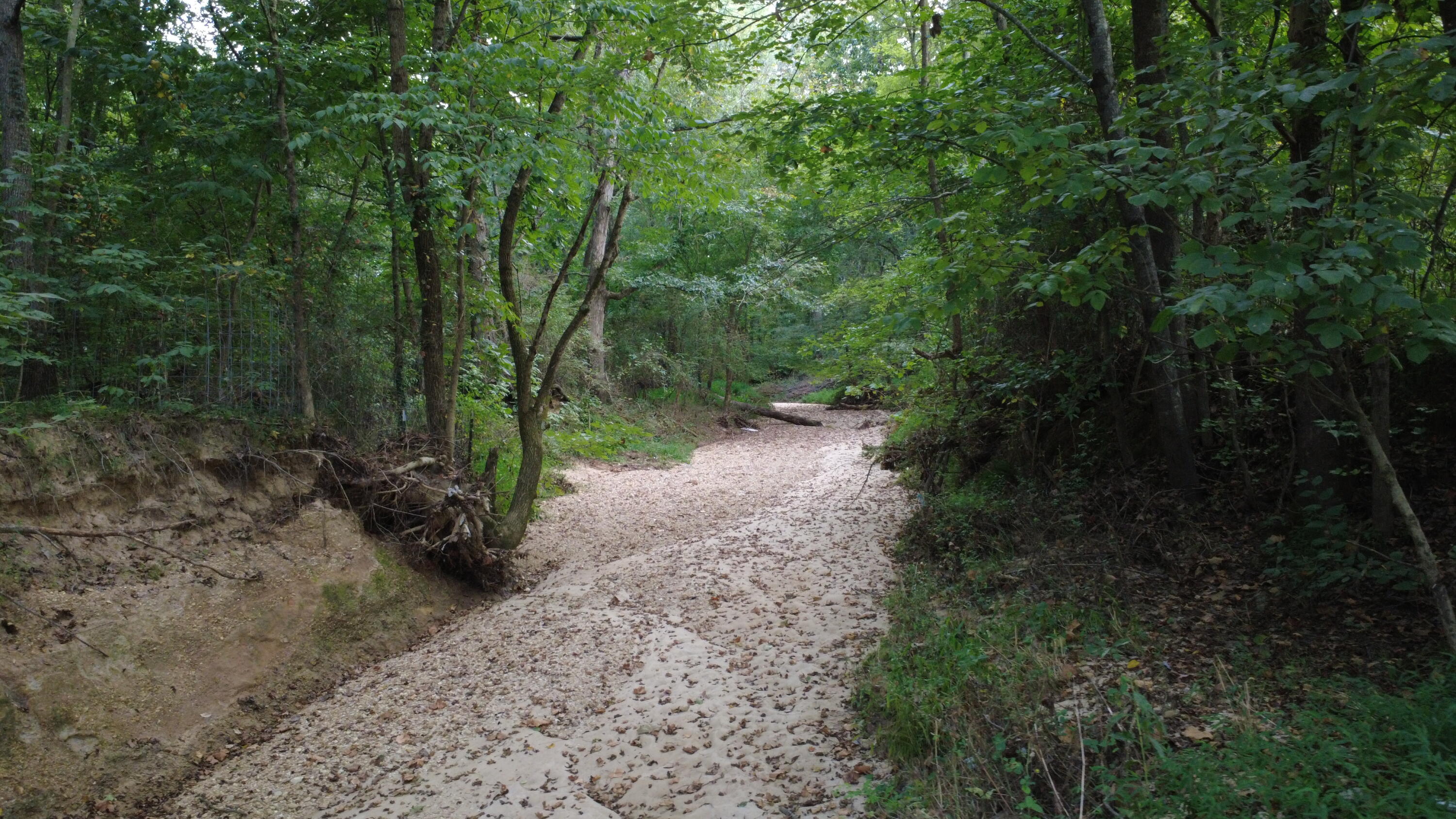 7303 Ky-339 Property Photo 59