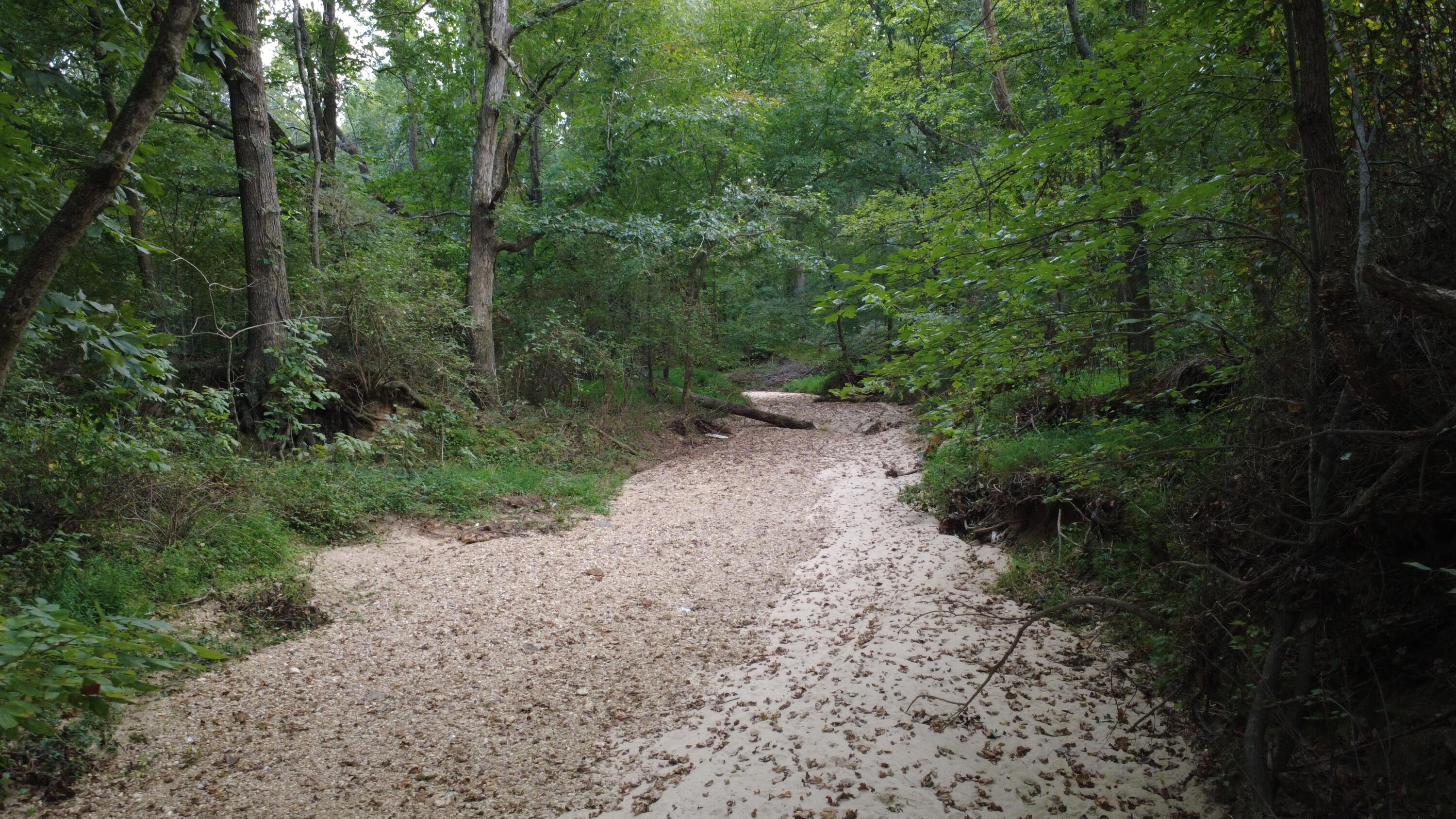 7303 Ky-339 Property Photo 60