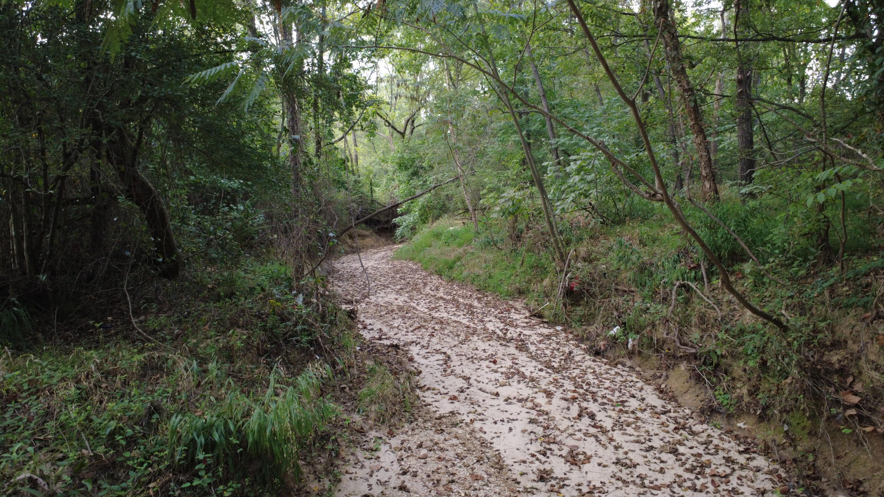 7303 Ky-339 Property Photo 61
