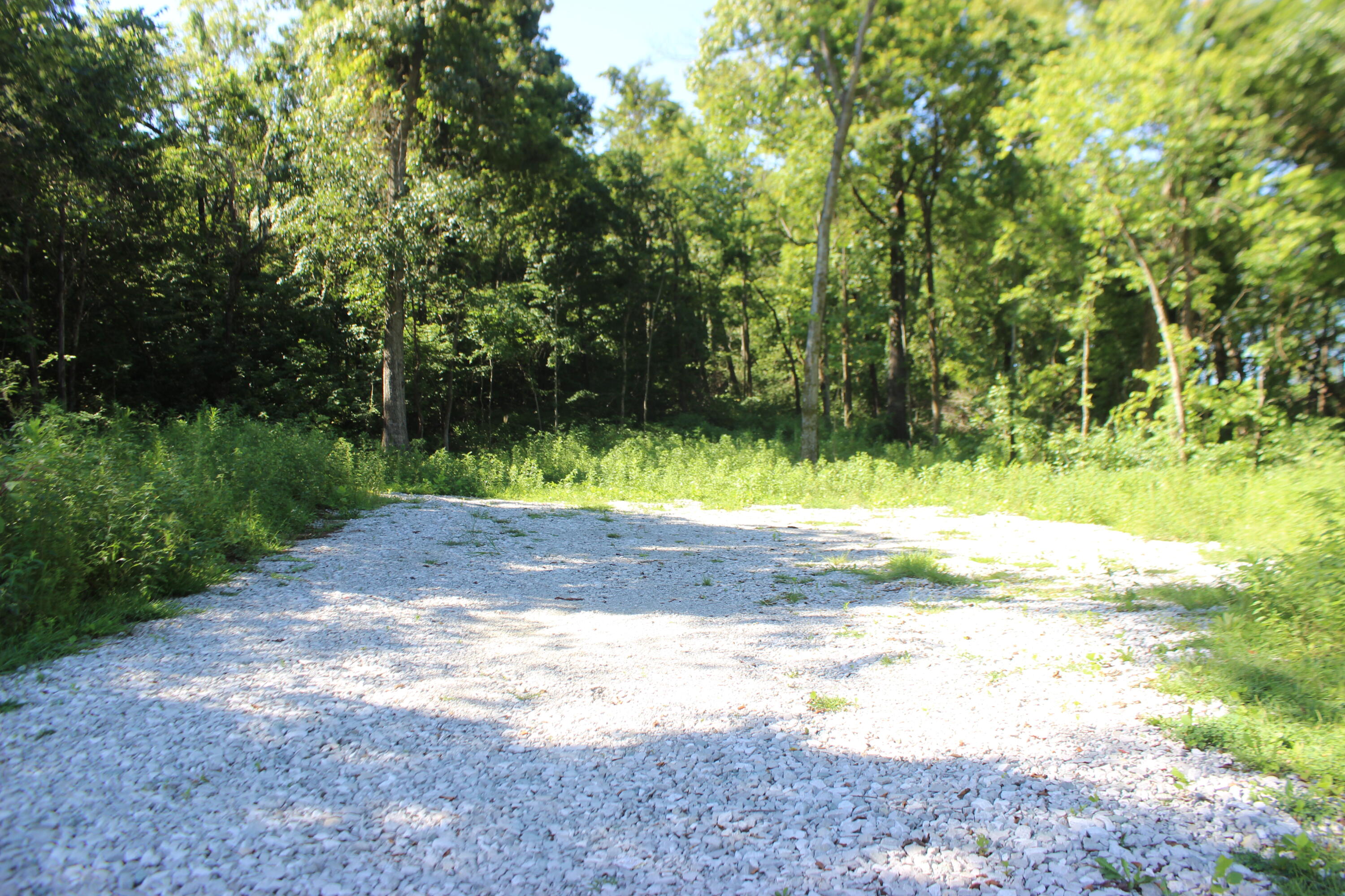 0 Martins Drive Property Photo 3