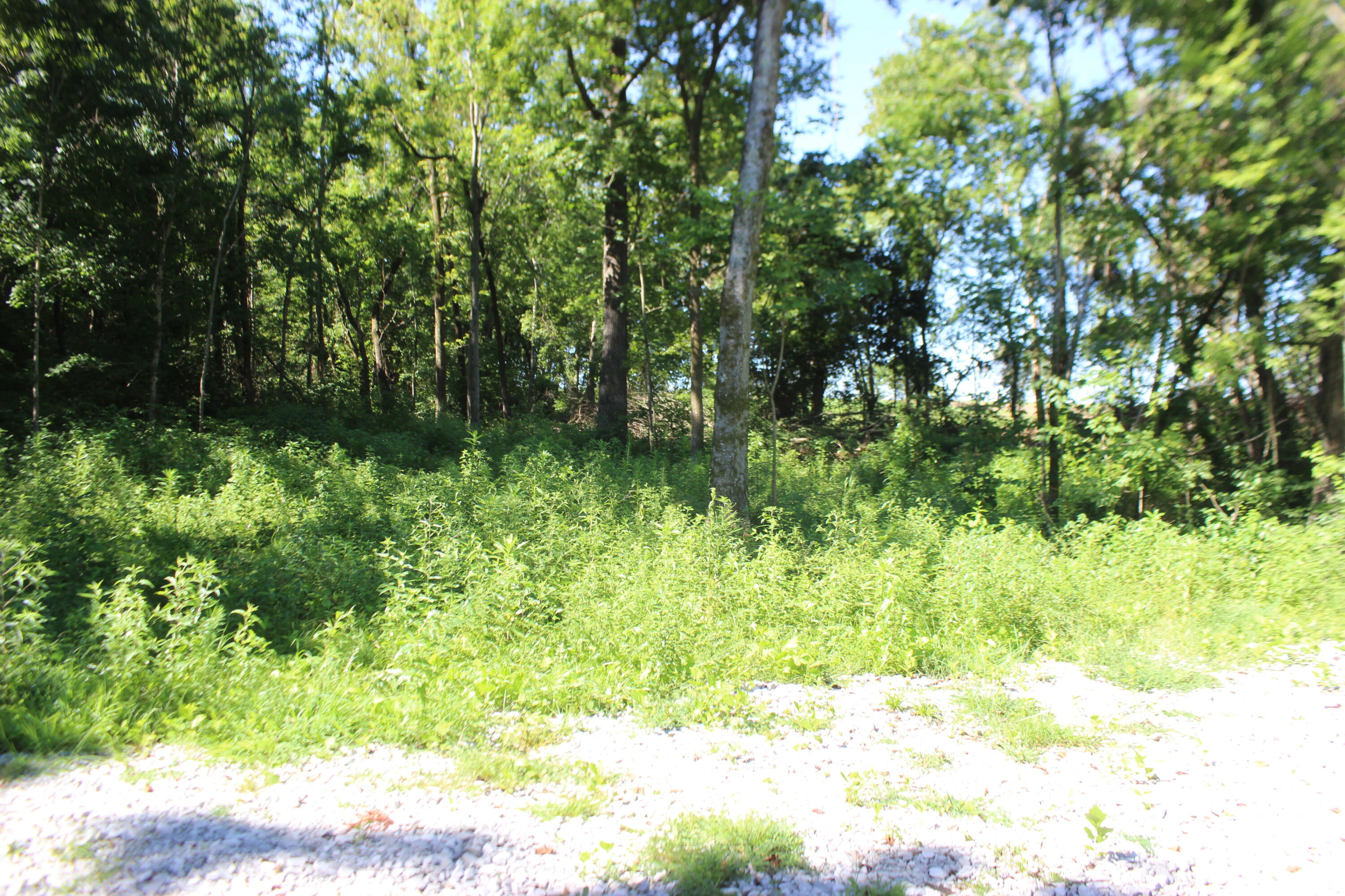 0 Martins Drive Property Photo 4