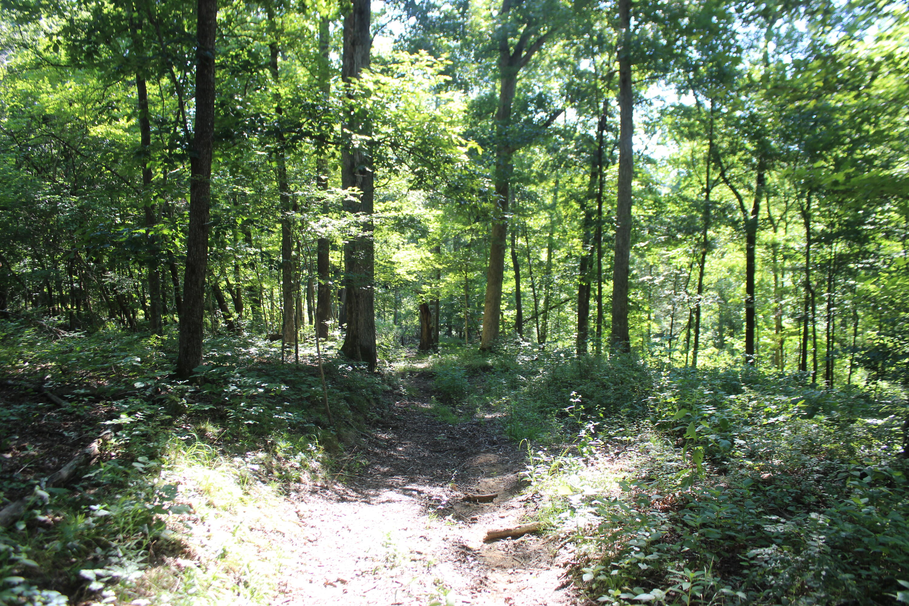 0 Martins Drive Property Photo 12
