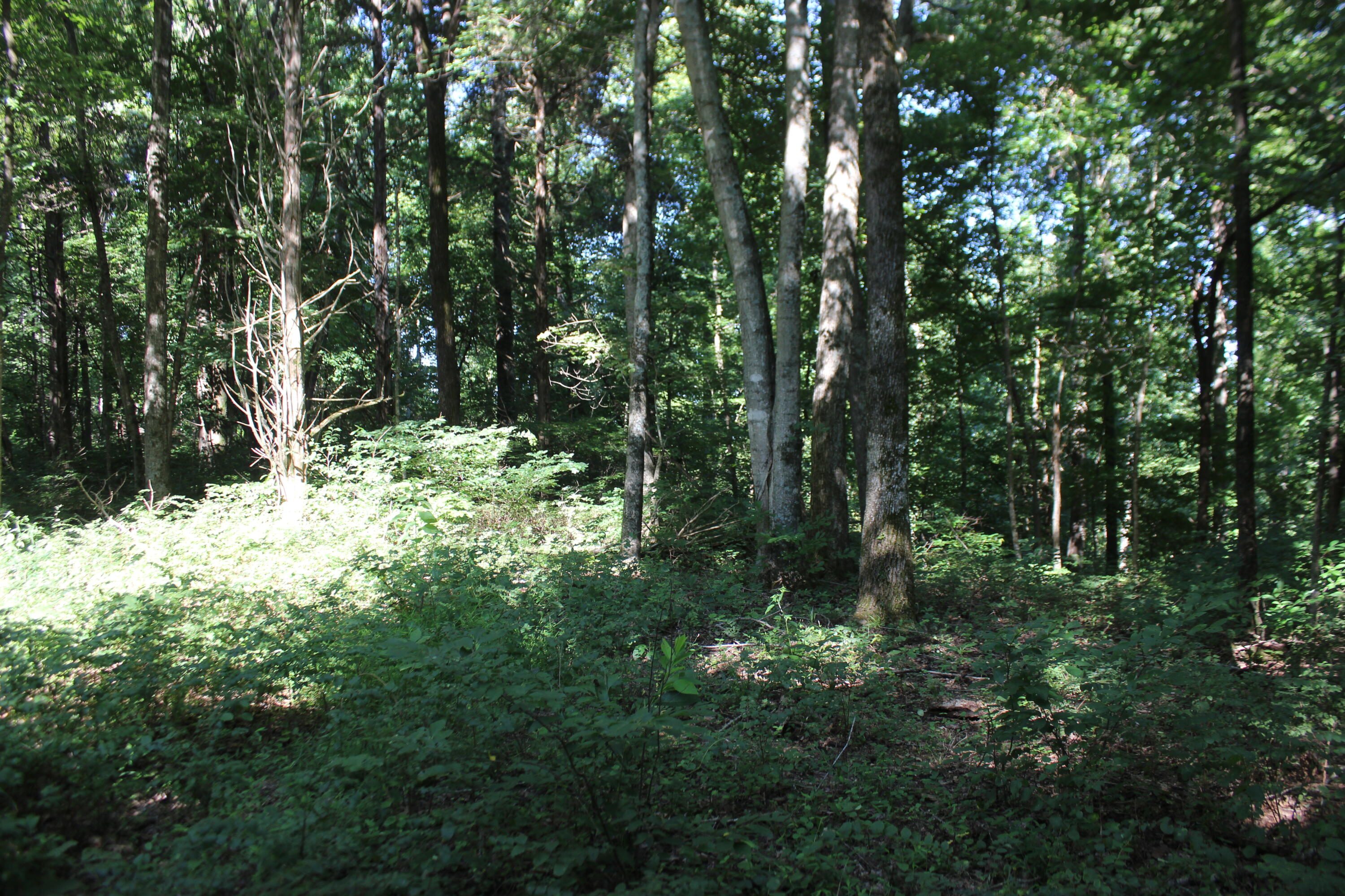 0 Martins Drive Property Photo 20