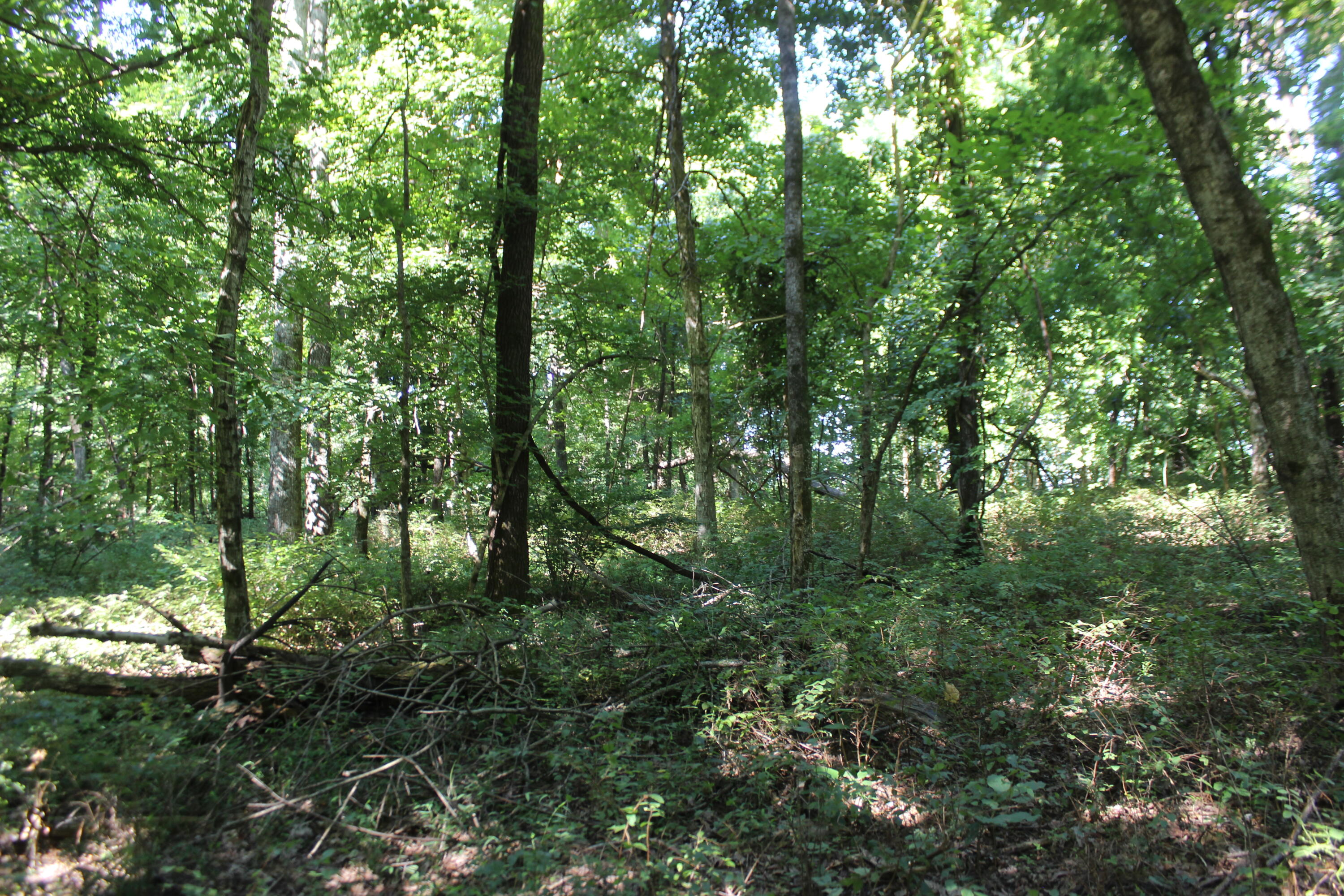 0 Martins Drive Property Photo 29