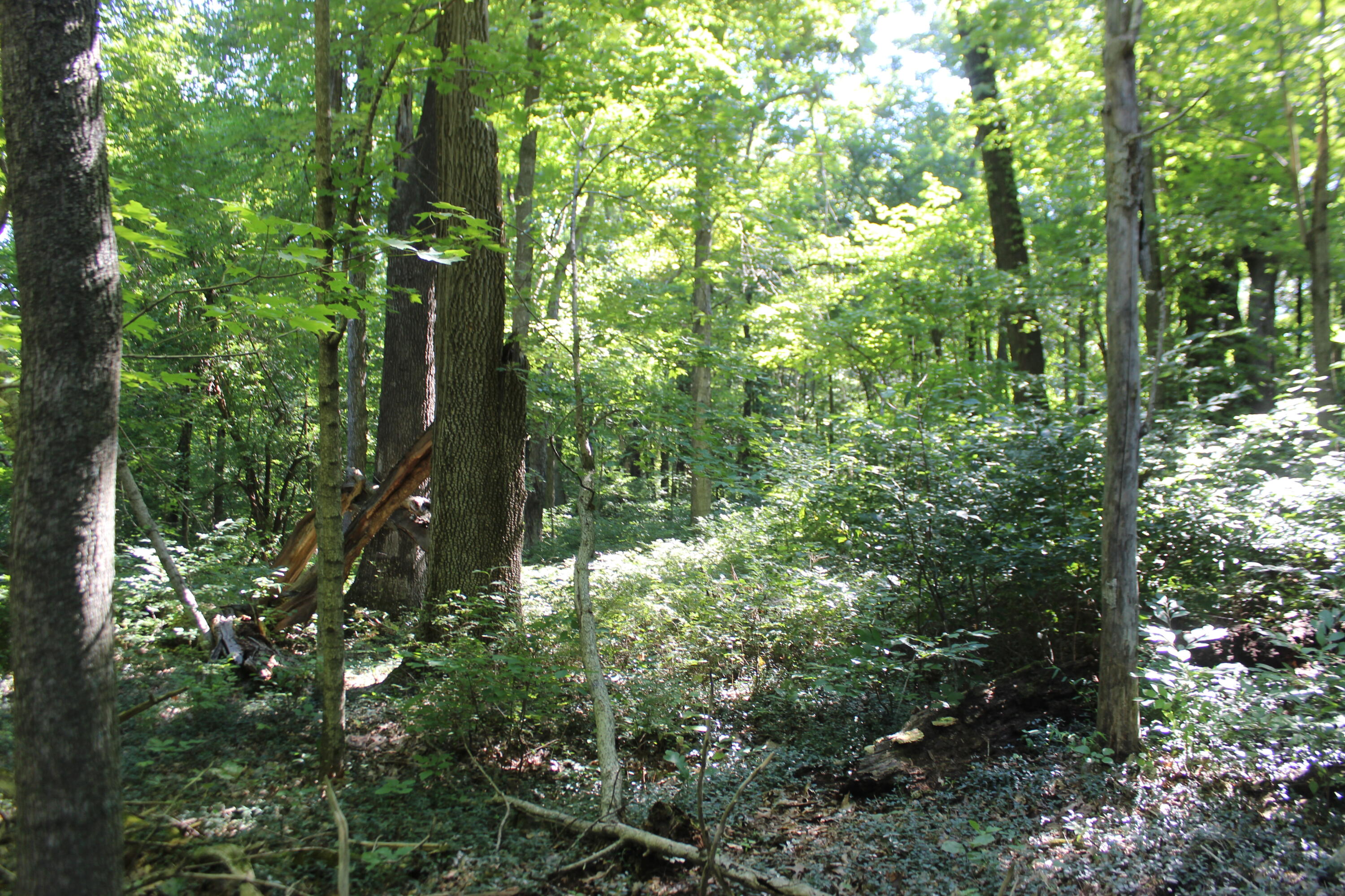 0 Martins Drive Property Photo 32
