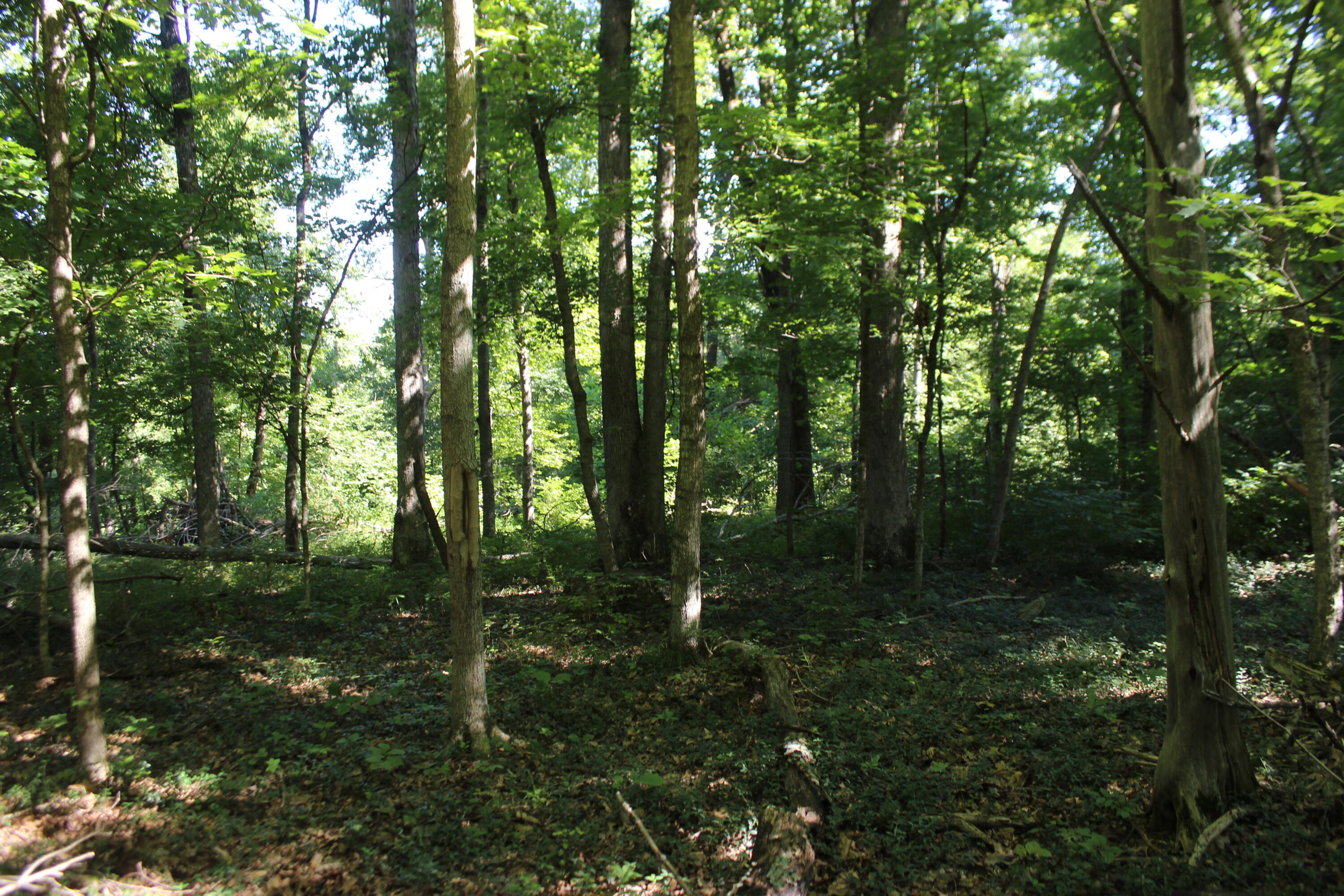 0 Martins Drive Property Photo 33