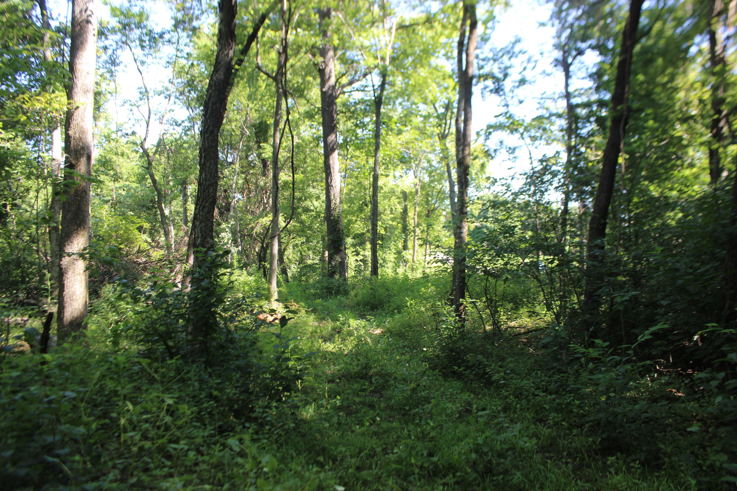 0 Martins Drive Property Photo 46