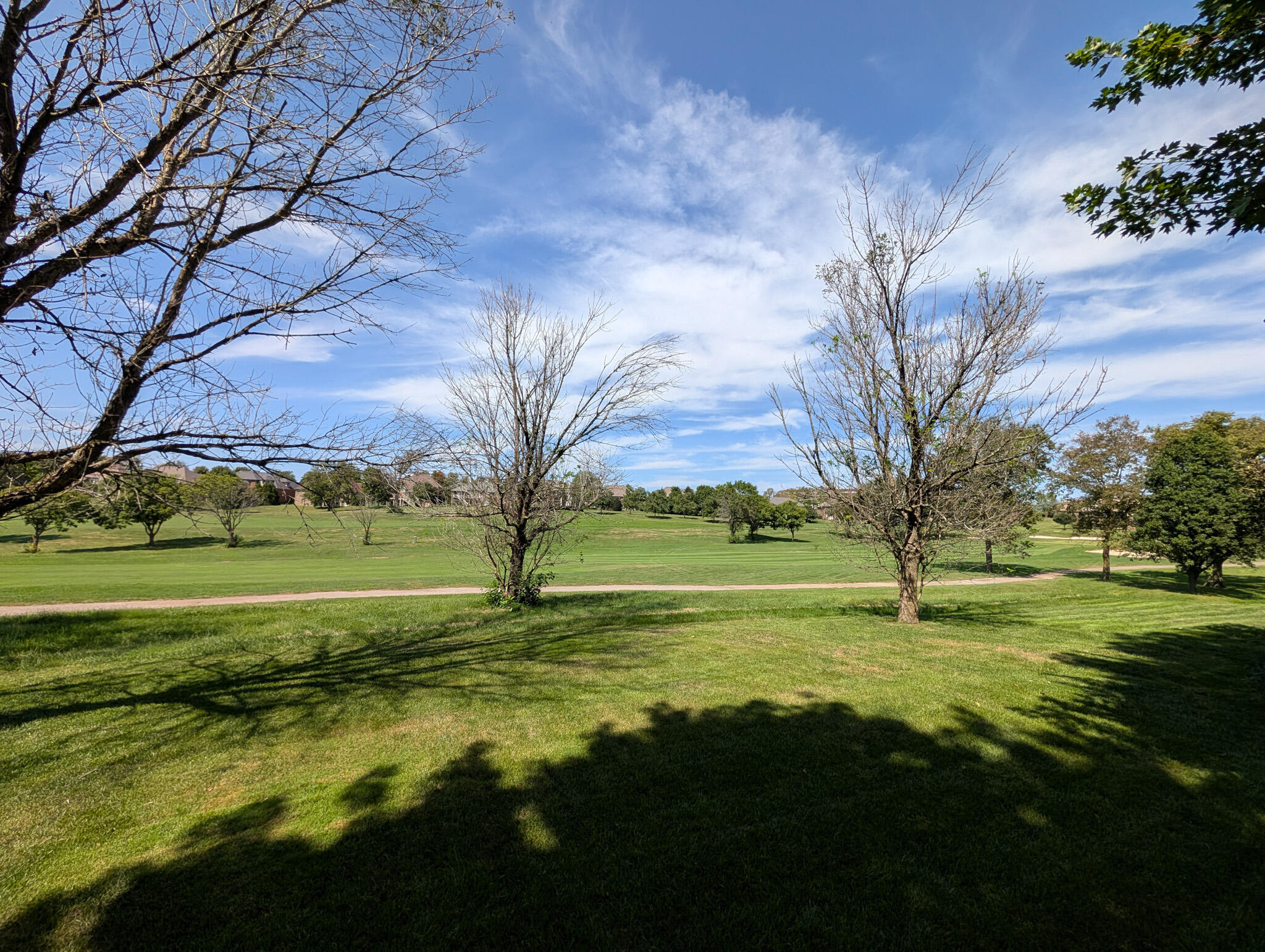 132 Sunningdale Drive Property Photo 88
