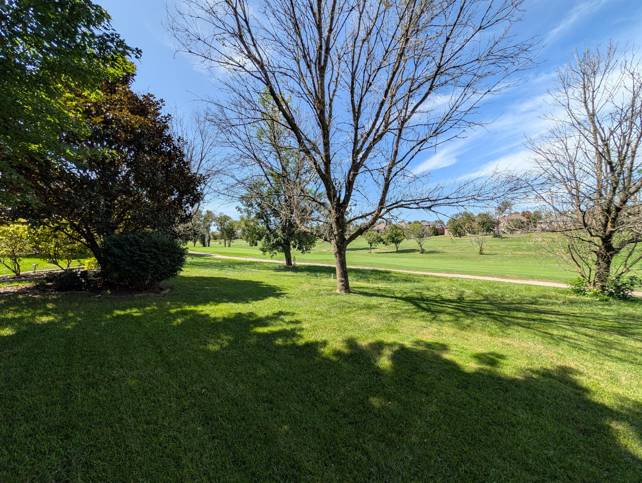 132 Sunningdale Drive Property Photo 90