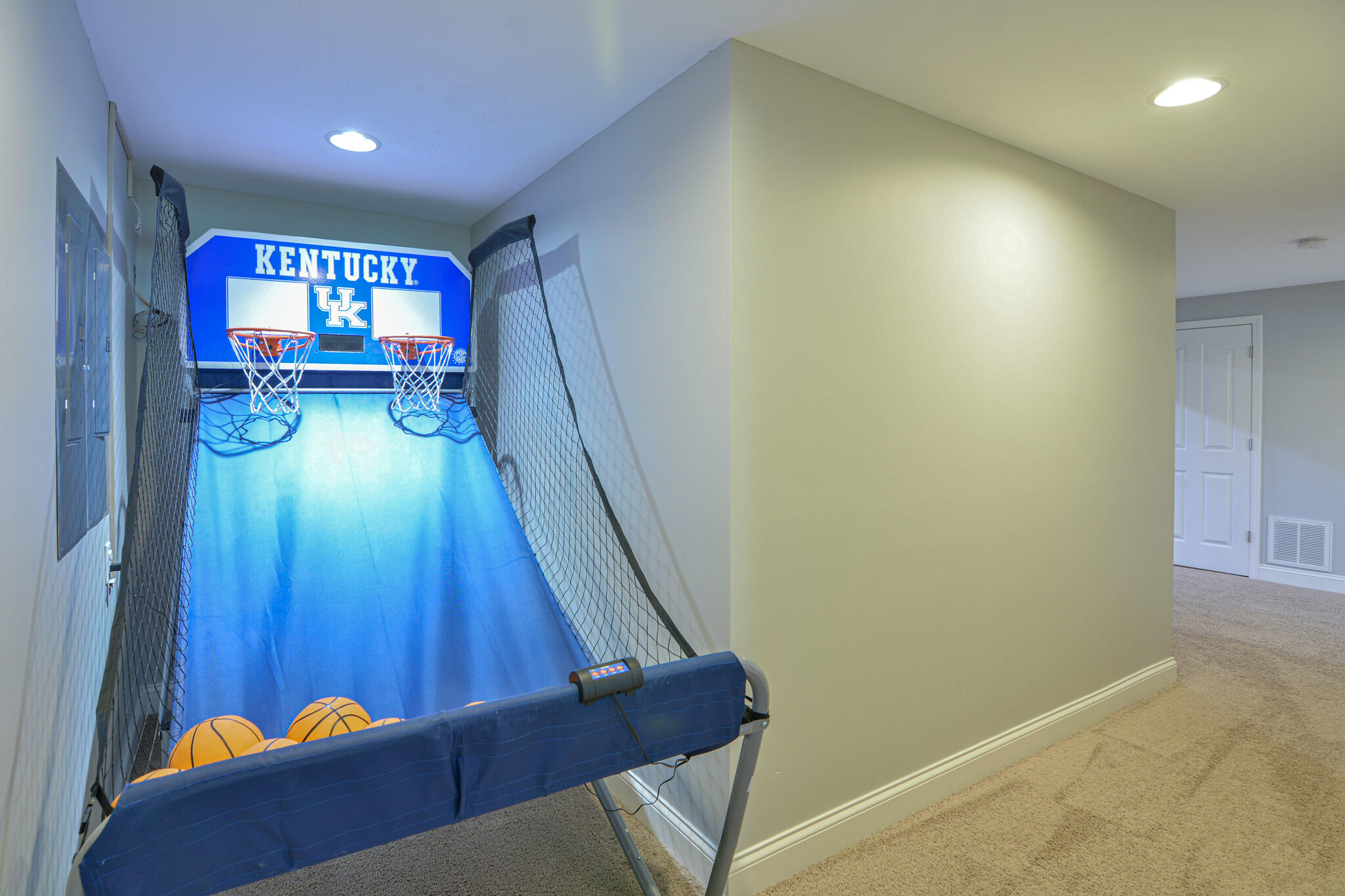 132 Sunningdale Drive Property Photo 95