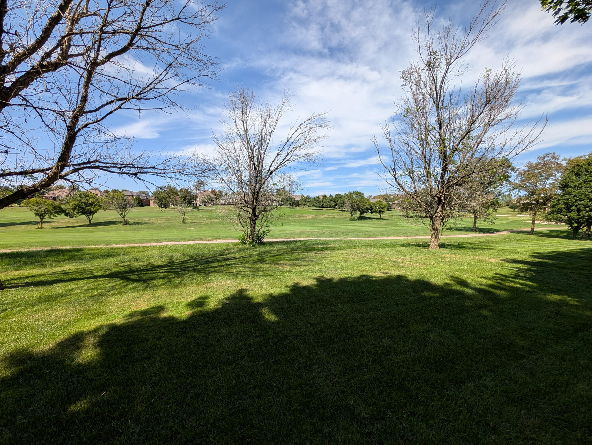 132 Sunningdale Drive Property Photo 98