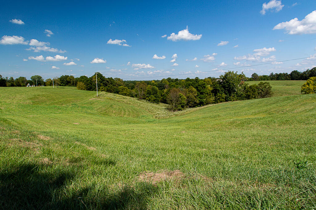 13200 Bald Knob Road Property Photo 4