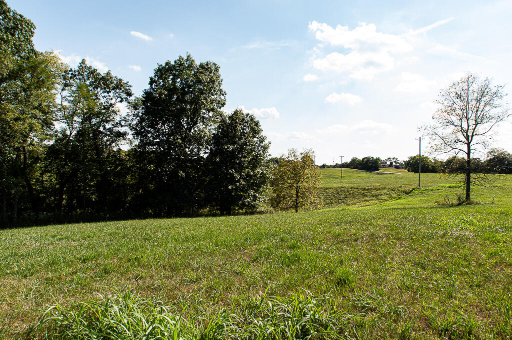 13200 Bald Knob Road Property Photo 33