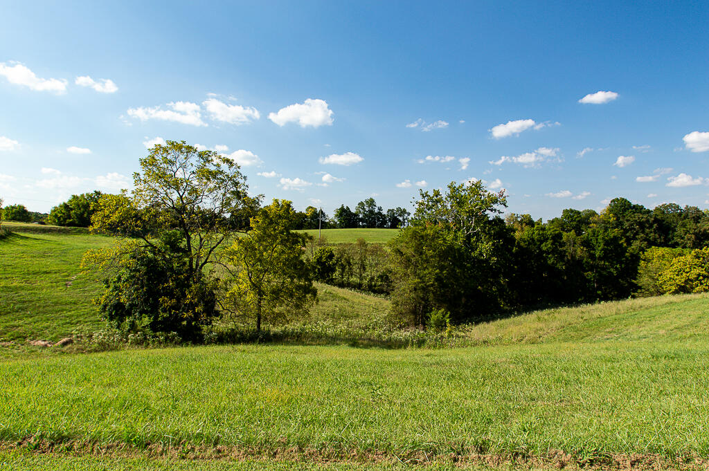 13200 Bald Knob Road Property Photo 44