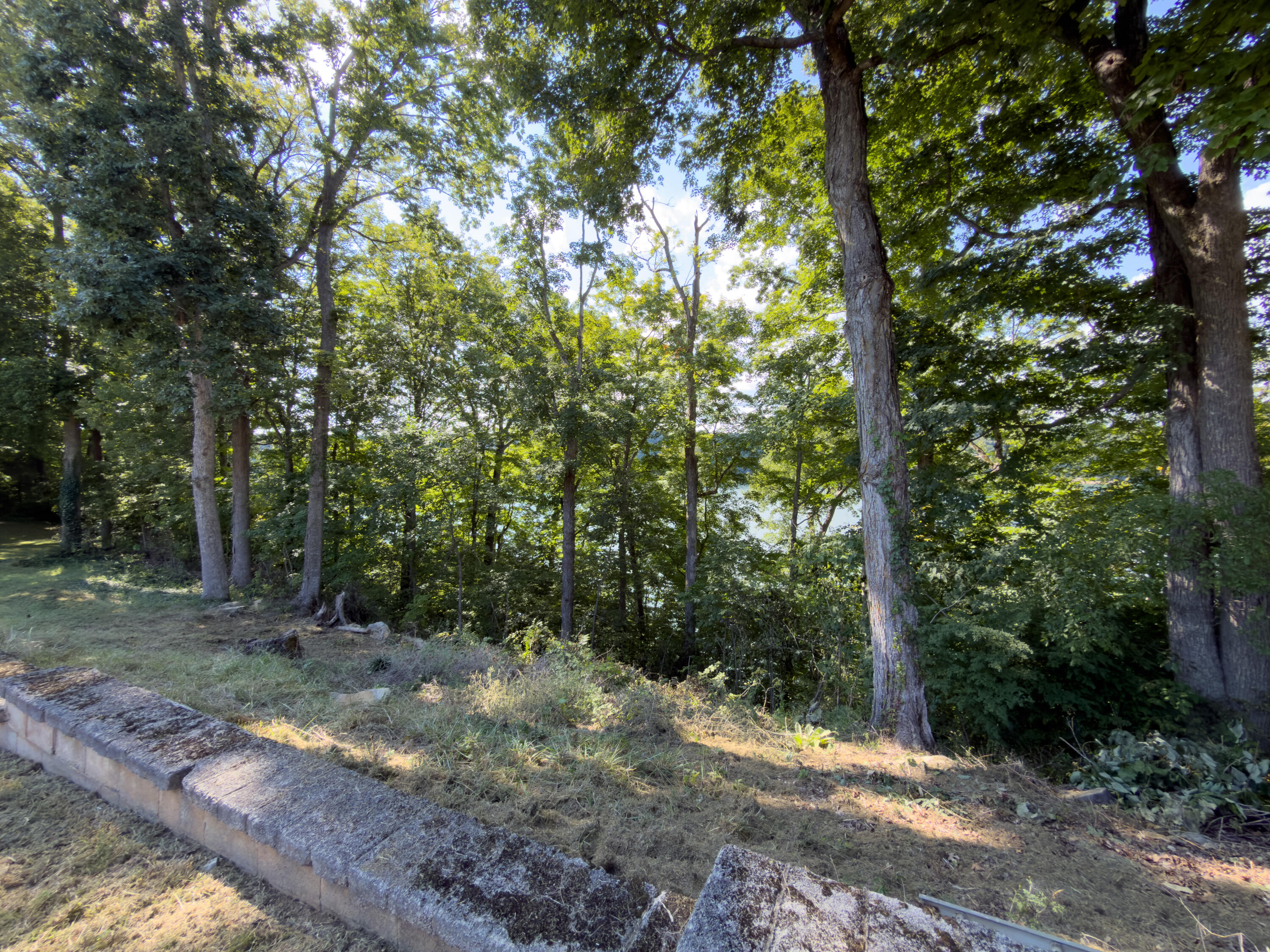 267 Mystic View Road Property Photo 12