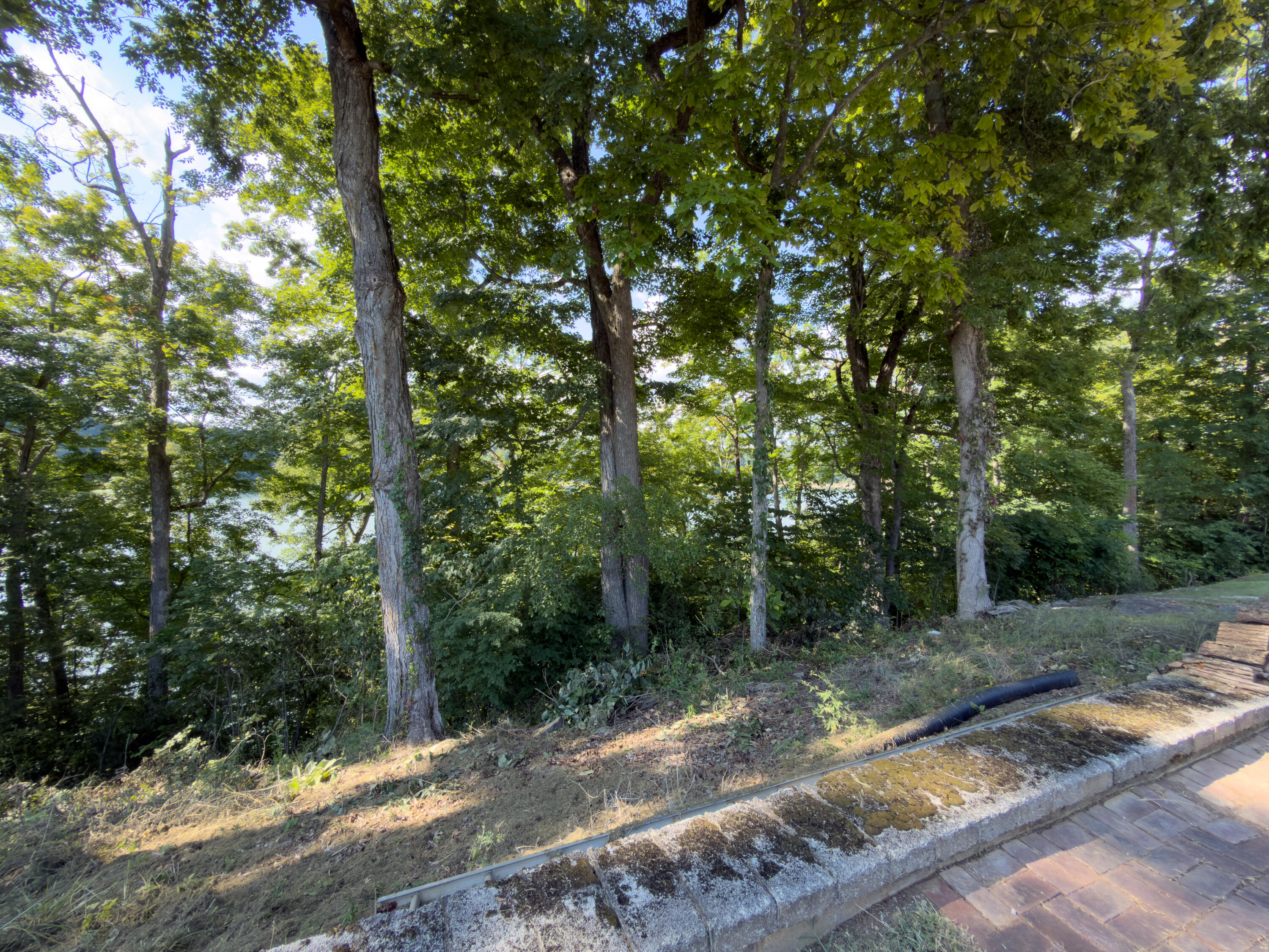 267 Mystic View Road Property Photo 14