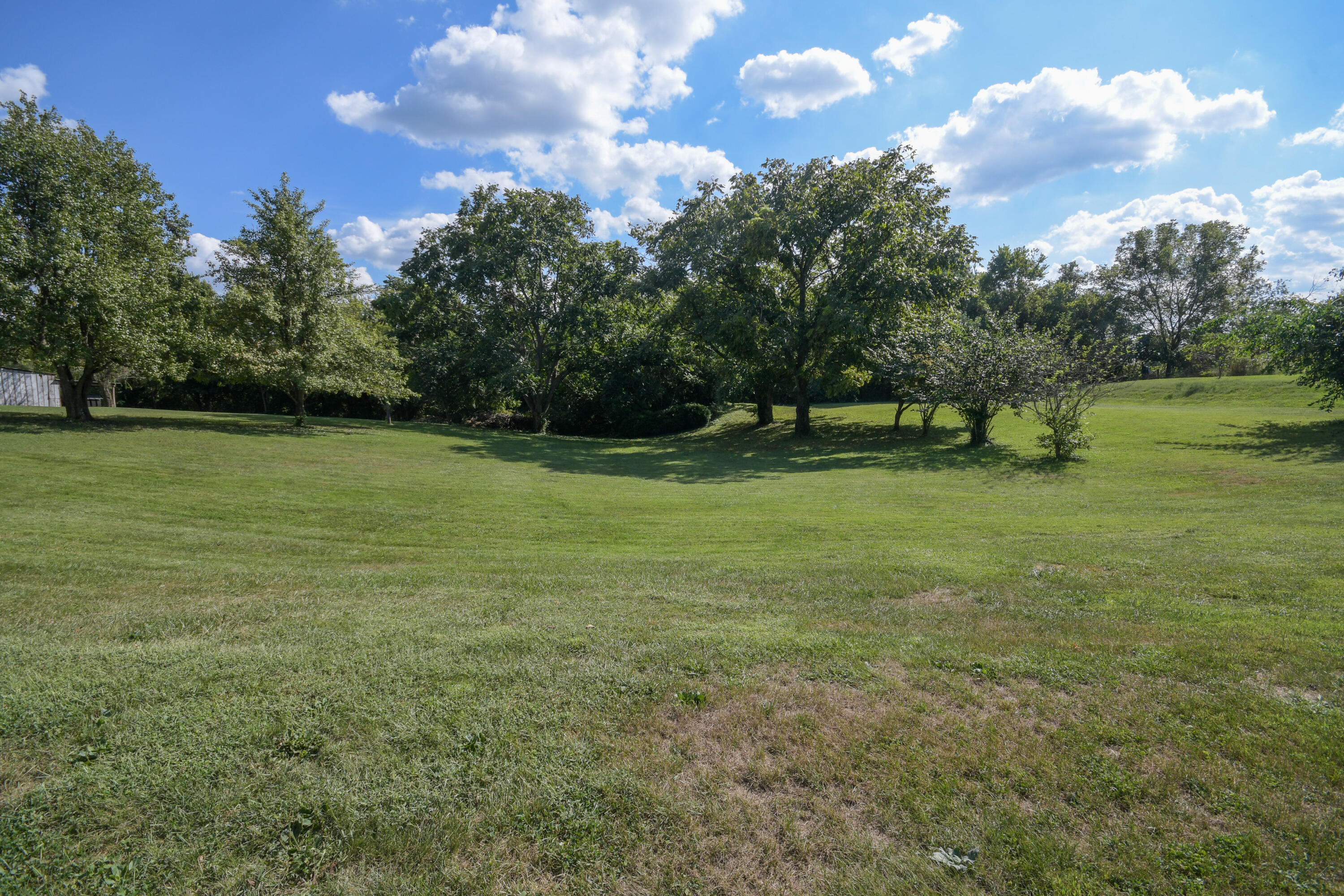 1310 Osborne Road Property Photo 13