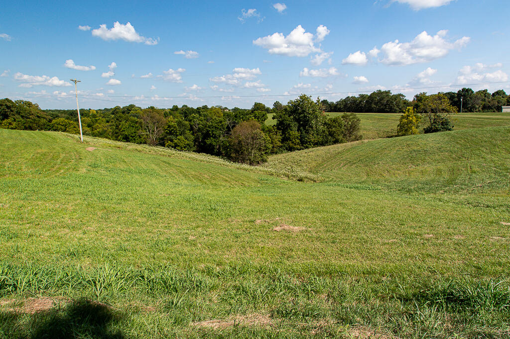 13200 Bald Knob Road Tract 1 Property Photo 6