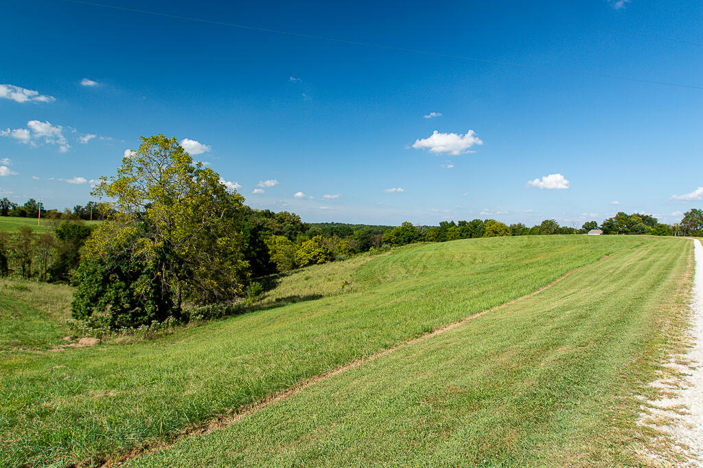 13200 Bald Knob Road Tract 1 Property Photo 19