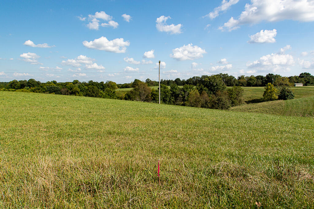 13200 Bald Knob Road Tracts 2 & 3 Property Photo 3