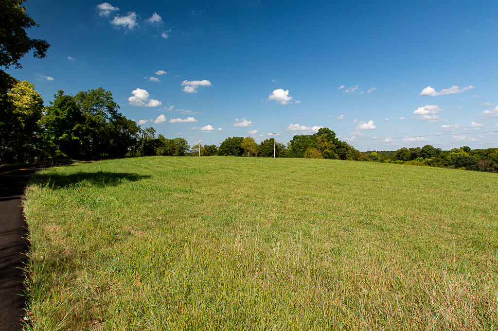 13200 Bald Knob Road Tracts 2 & 3 Property Photo 4