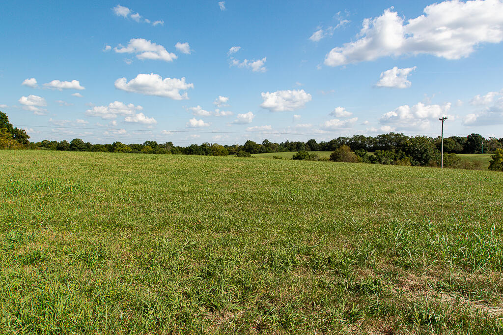 13200 Bald Knob Road Tracts 2 & 3 Property Photo 6