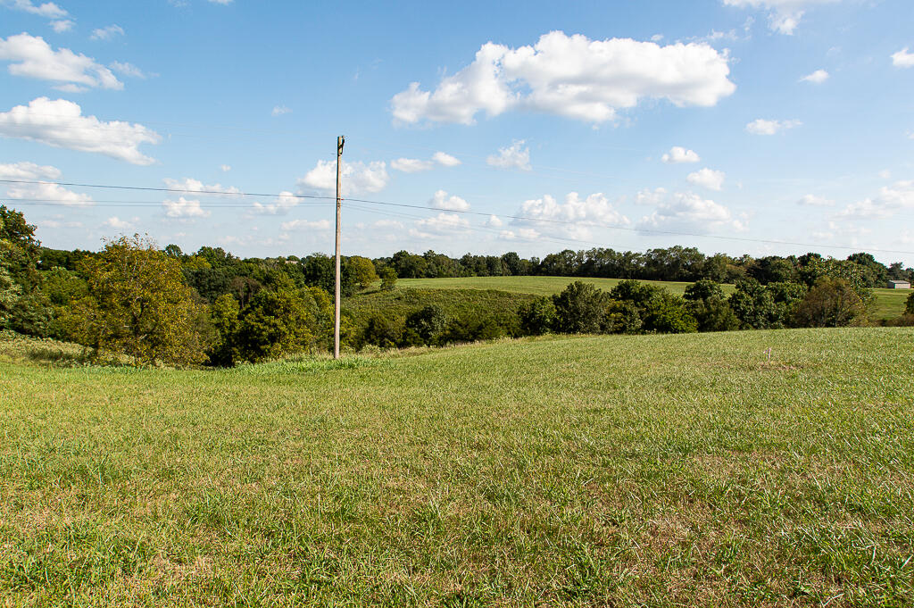 13200 Bald Knob Road Tracts 2 & 3 Property Photo 10