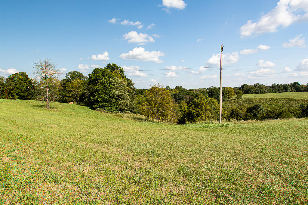 13200 Bald Knob Road Tracts 2 & 3 Property Photo 11
