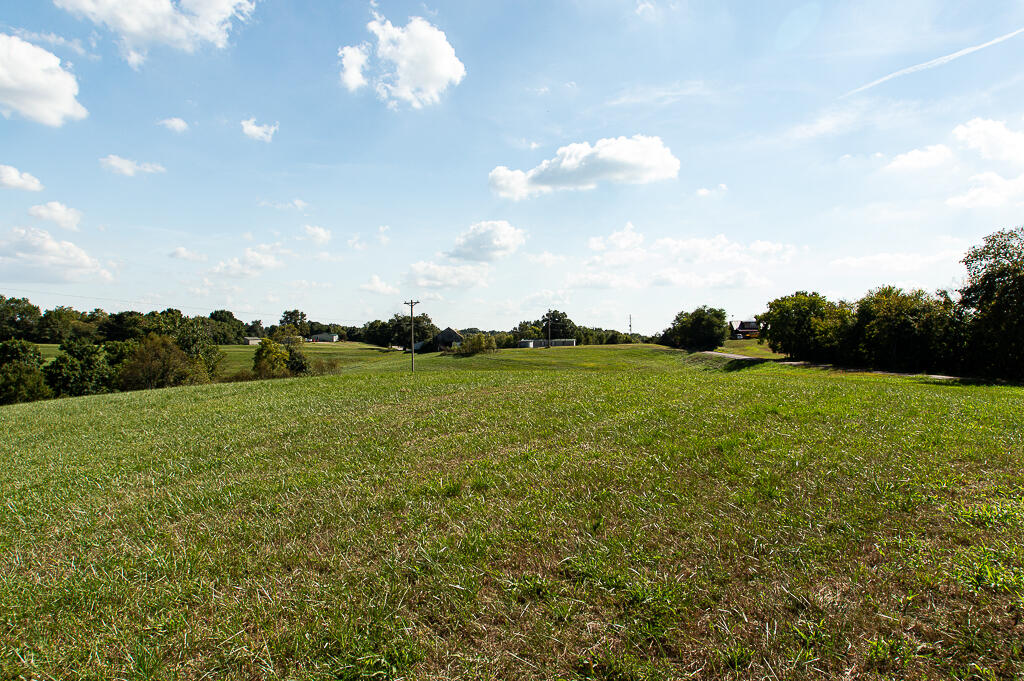 13200 Bald Knob Road Tracts 2 & 3 Property Photo 12