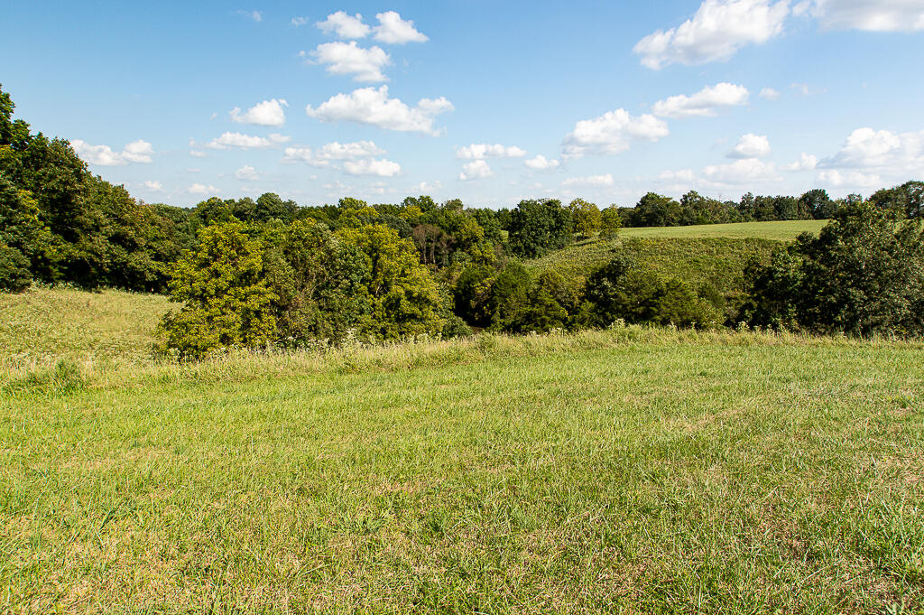 13200 Bald Knob Road Tracts 2 & 3 Property Photo 13