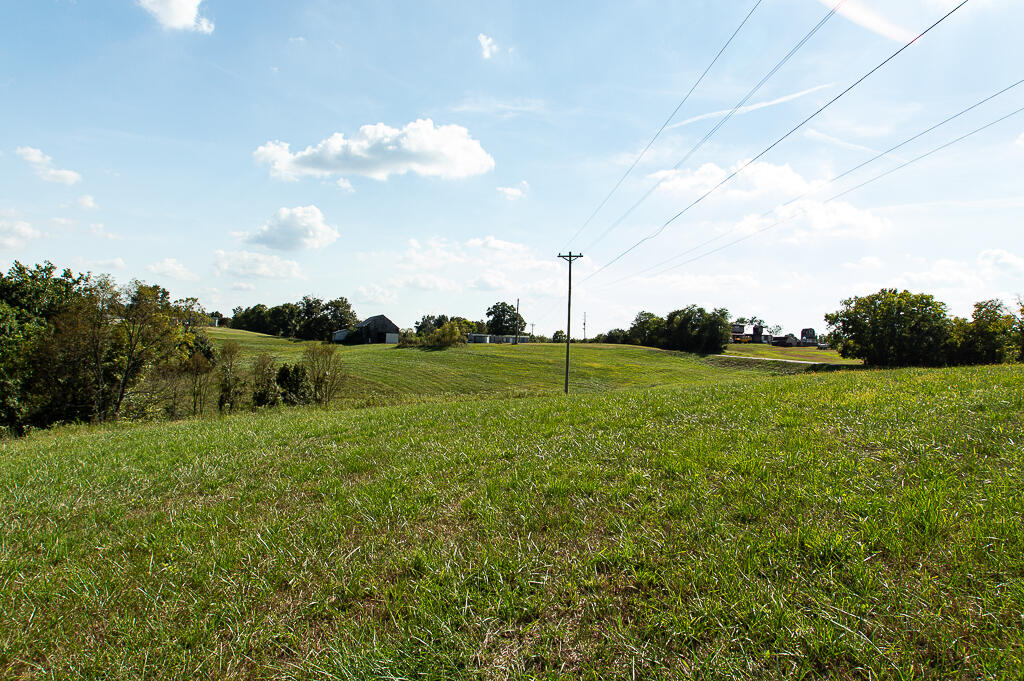 13200 Bald Knob Road Tracts 2 & 3 Property Photo 15