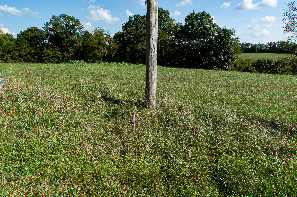 13200 Bald Knob Road Tracts 2 & 3 Property Photo 17