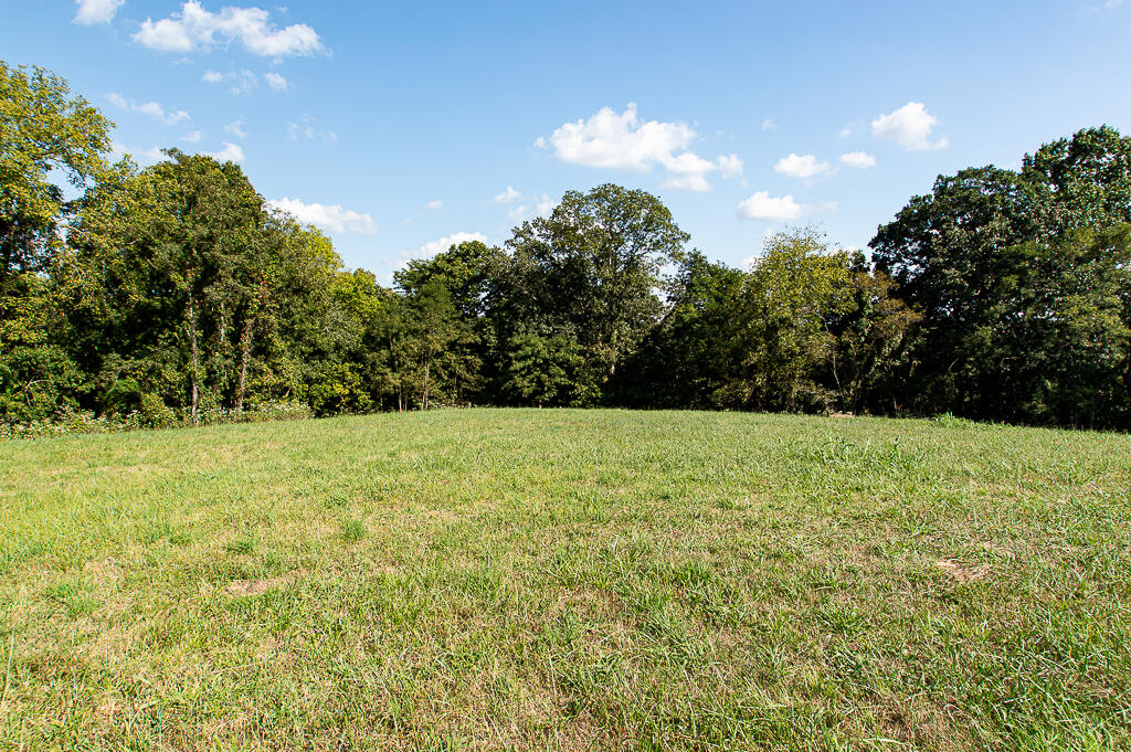 13200 Bald Knob Road Tracts 2 & 3 Property Photo 20