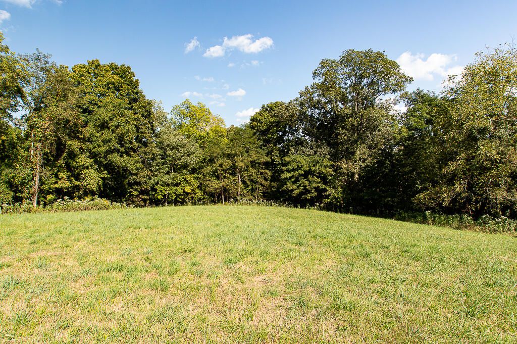13200 Bald Knob Road Tracts 2 & 3 Property Photo 22