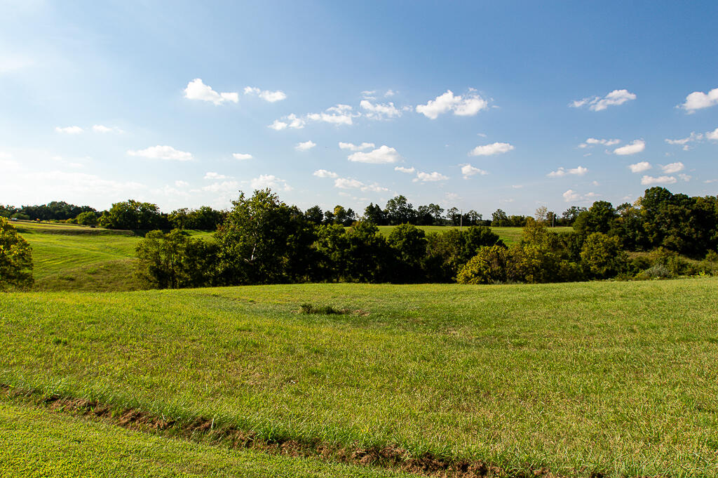 13200 Bald Knob Road Tracts 2 & 3 Property Photo 25