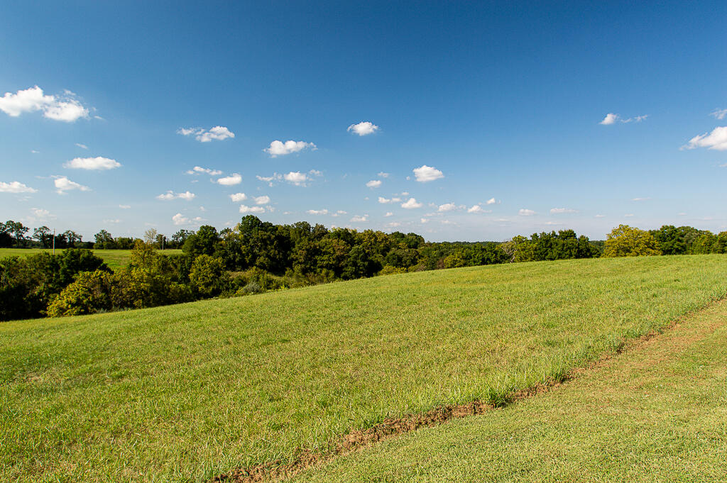 13200 Bald Knob Road Tracts 2 & 3 Property Photo 26