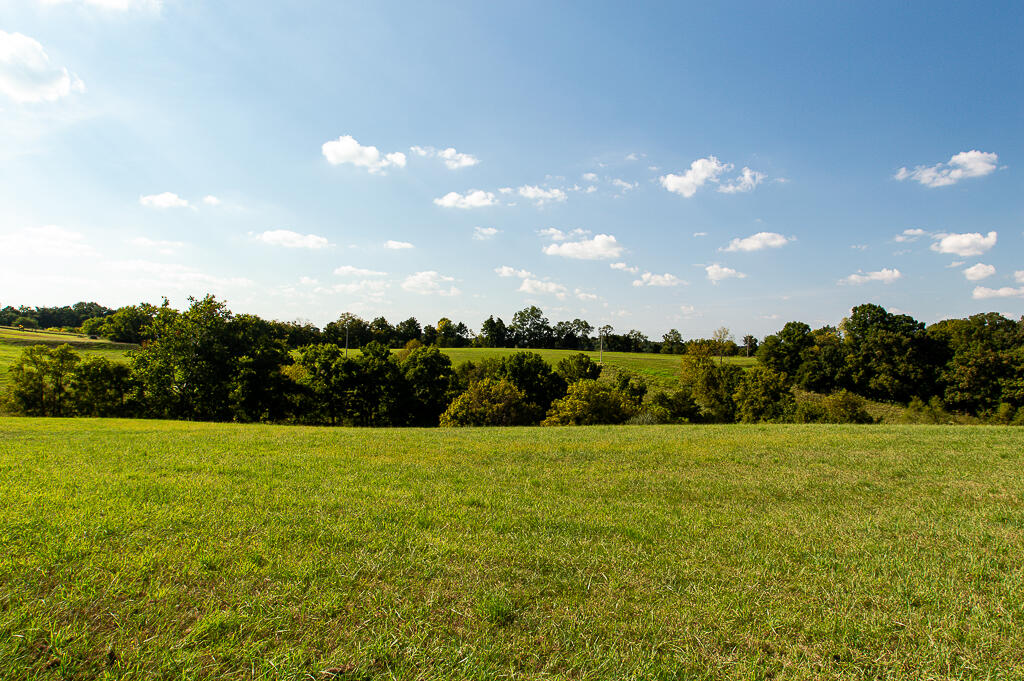 13200 Bald Knob Road Tracts 2 & 3 Property Photo 28
