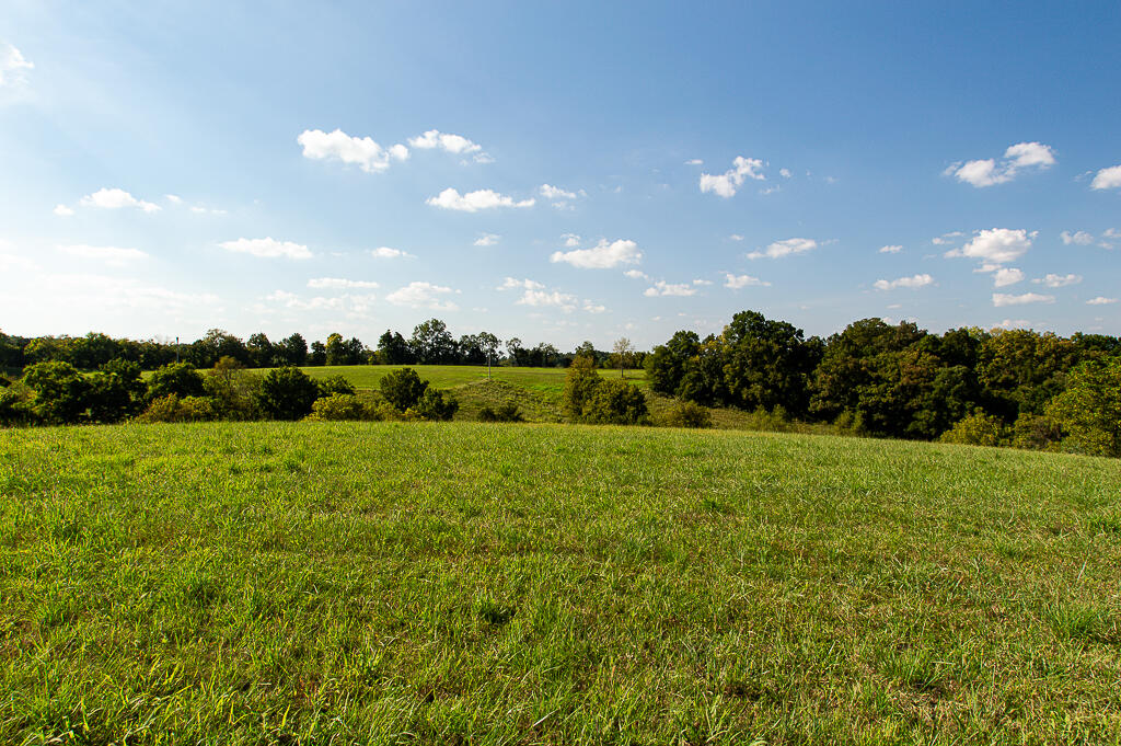 13200 Bald Knob Road Tracts 2 & 3 Property Photo 31